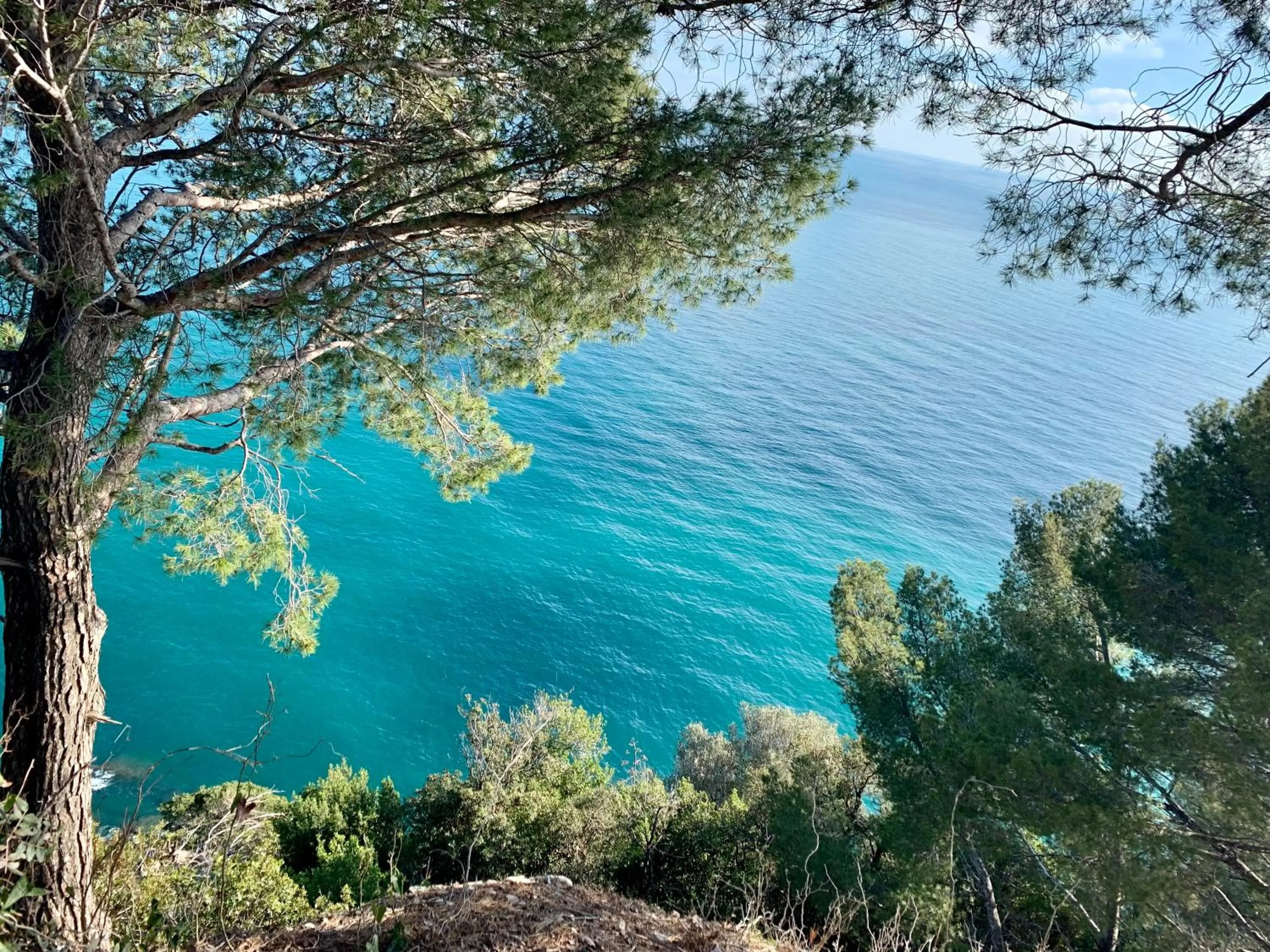 Natural landscape in River Park Hotel
