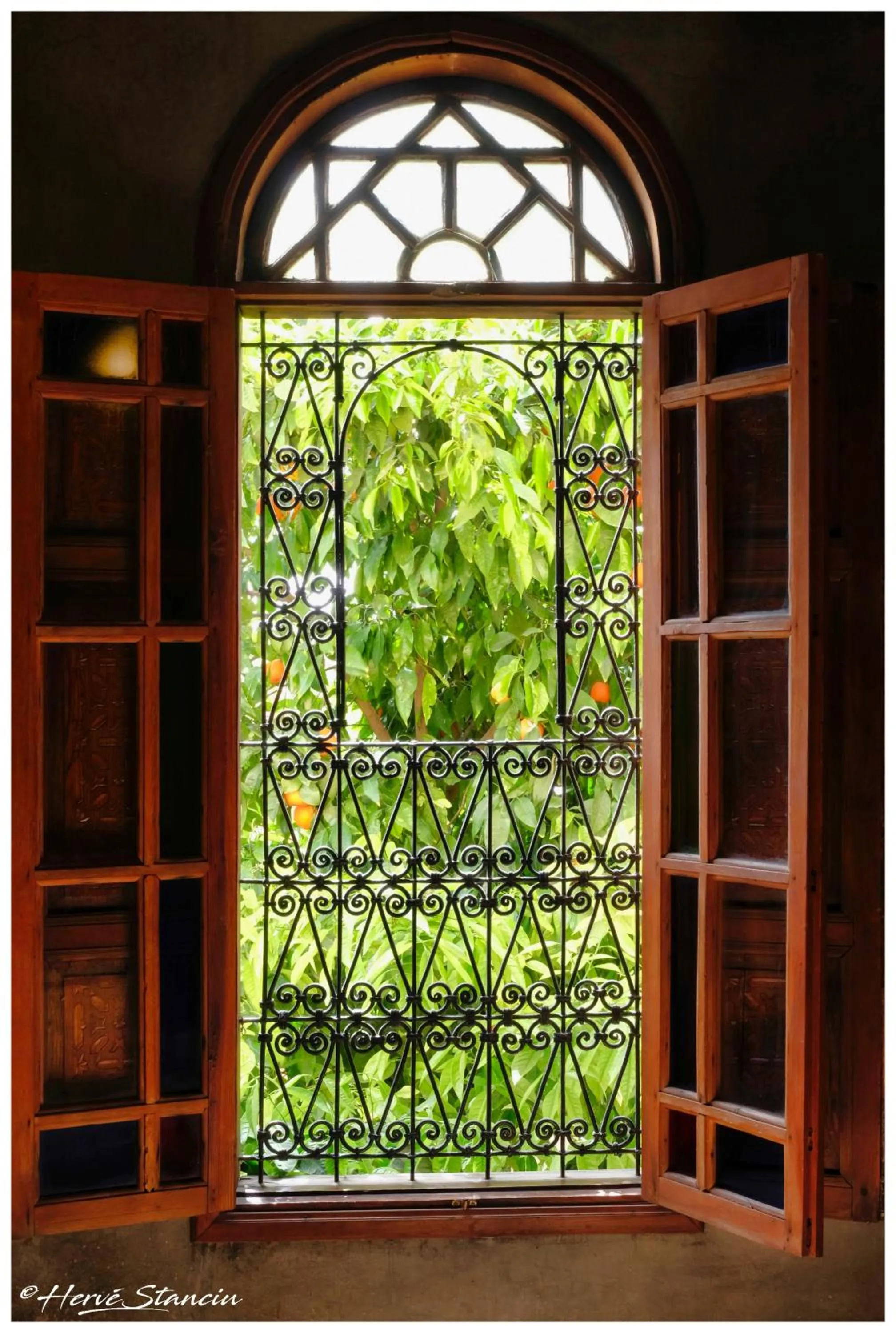 Garden view in Riad Layalina Fes