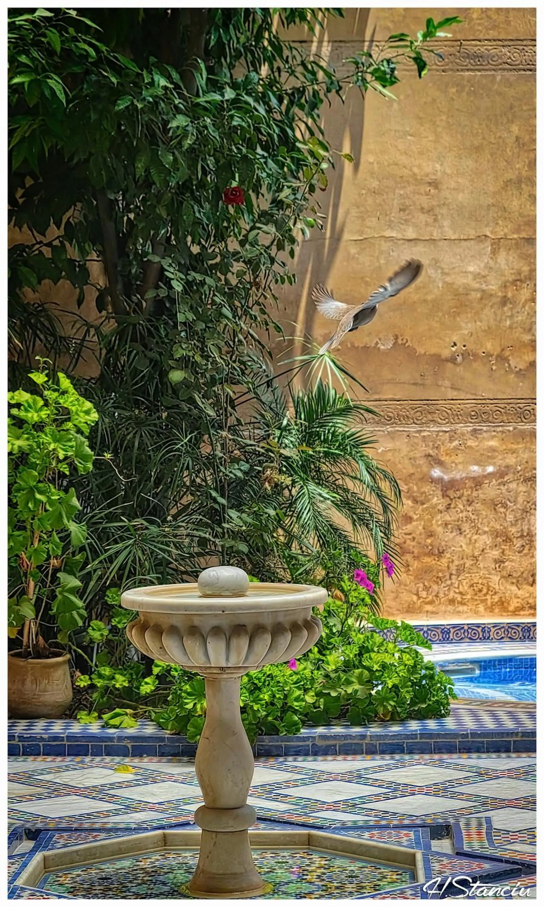 Decorative detail in Riad Layalina Fes