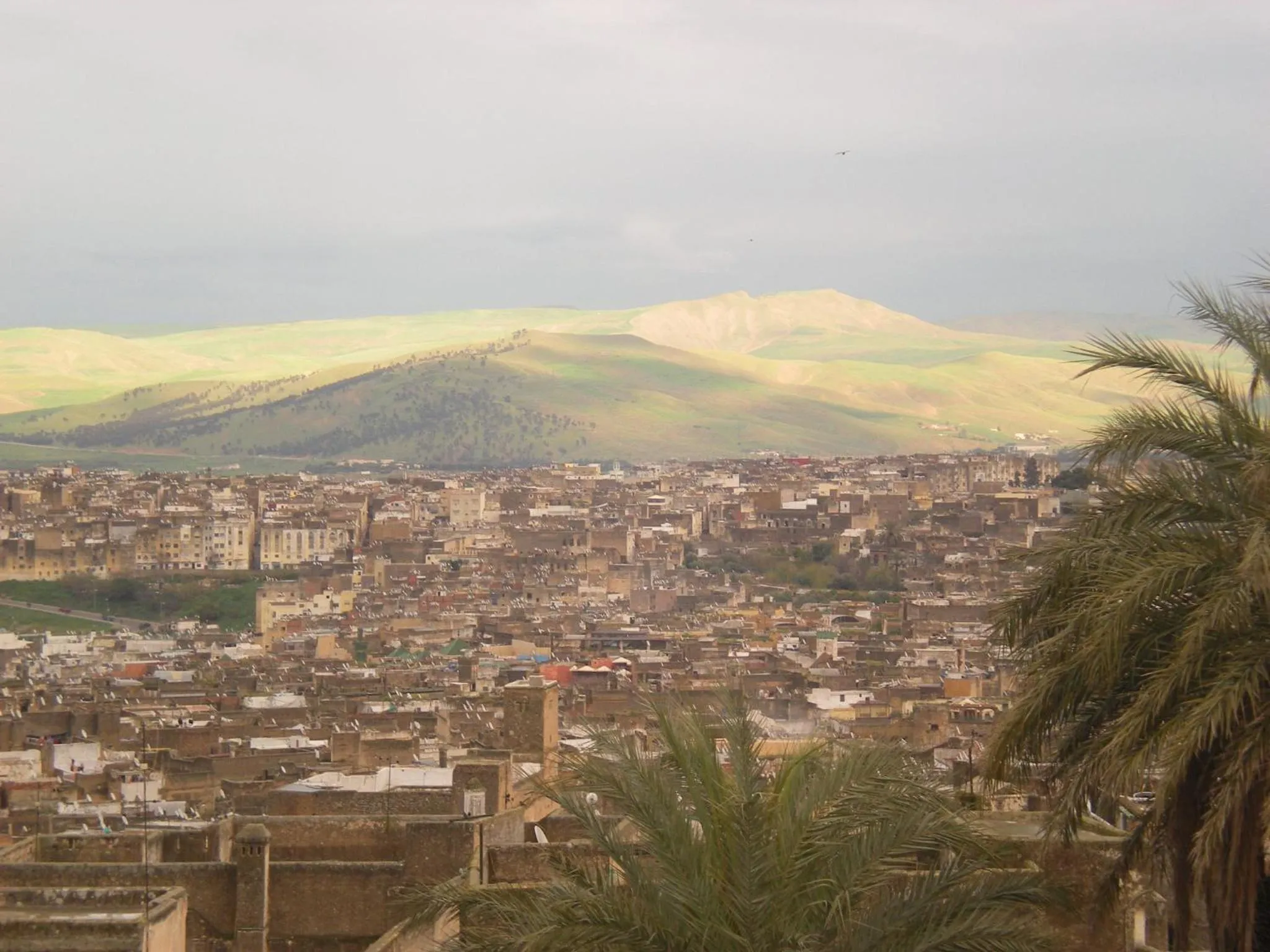 Balcony/Terrace in Riad Layalina Fes