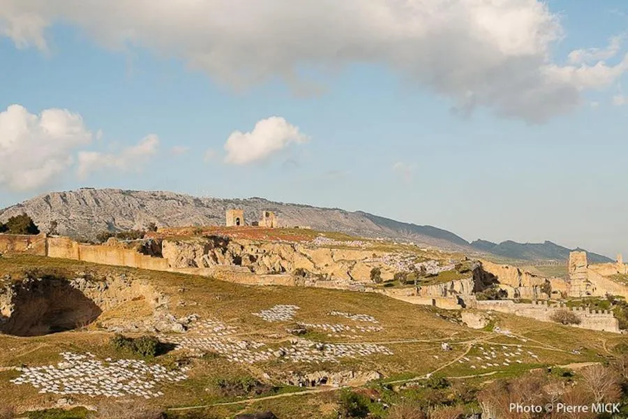 City view in Riad Layalina Fes
