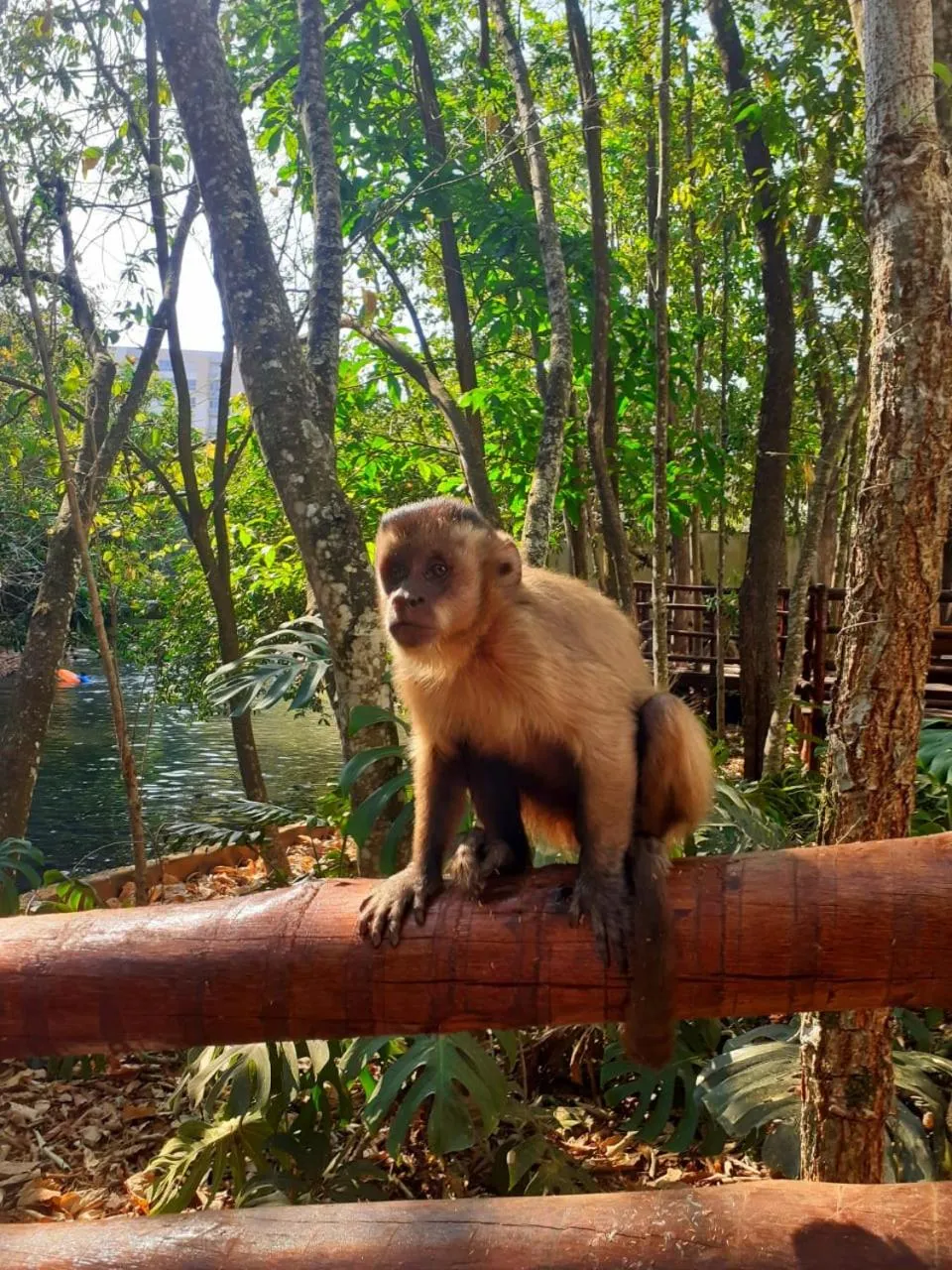 On site in Prime Hotel Águas da Serra