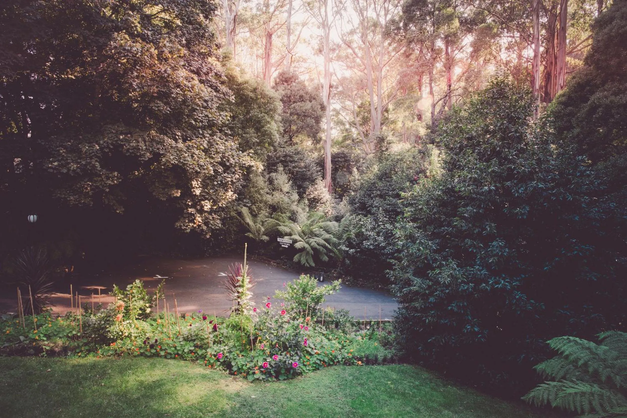 Garden in Belle Le Vie