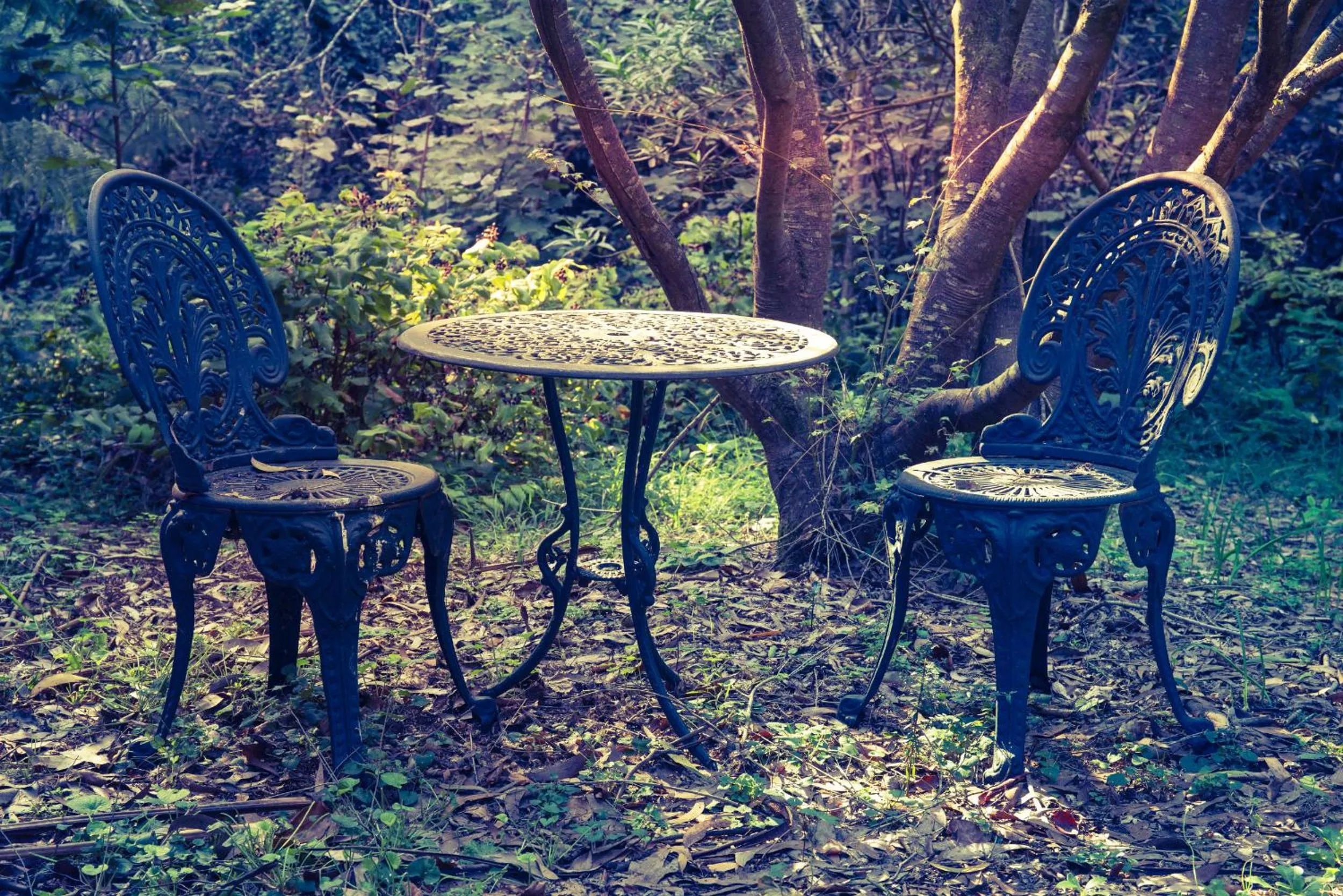 Garden in Belle Le Vie