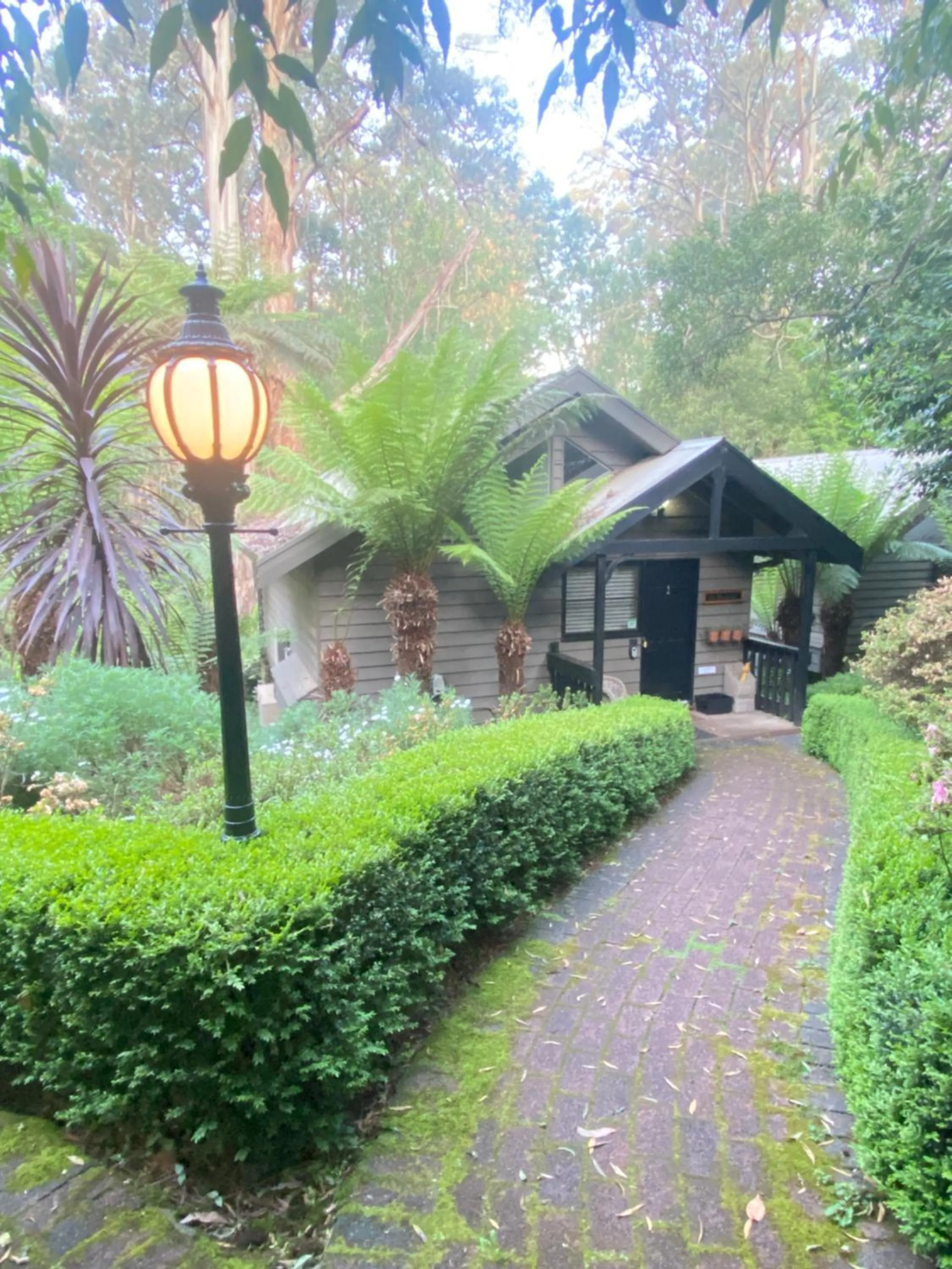 Garden in Belle Le Vie