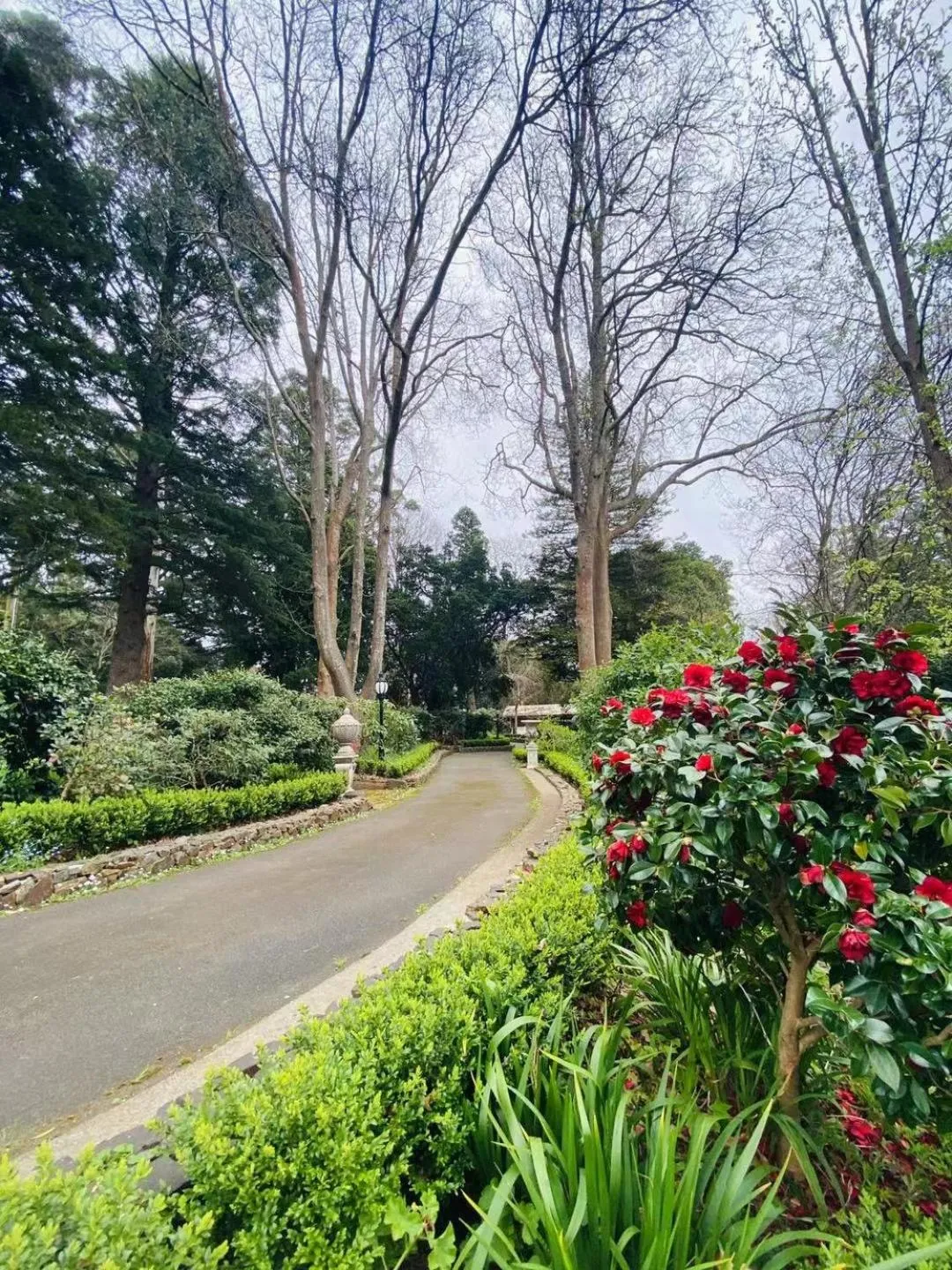 Garden in Belle Le Vie