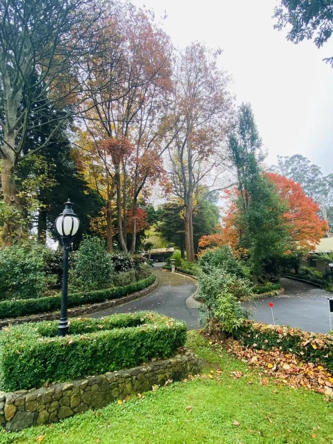 Garden in Belle Le Vie