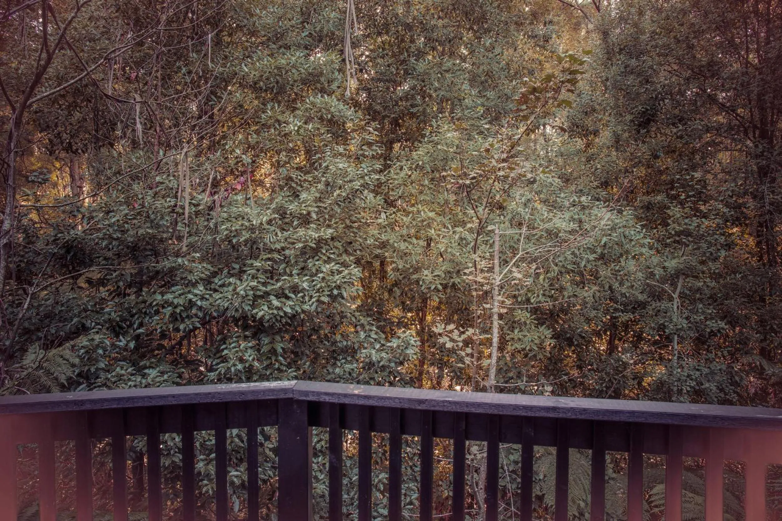 Garden in Belle Le Vie