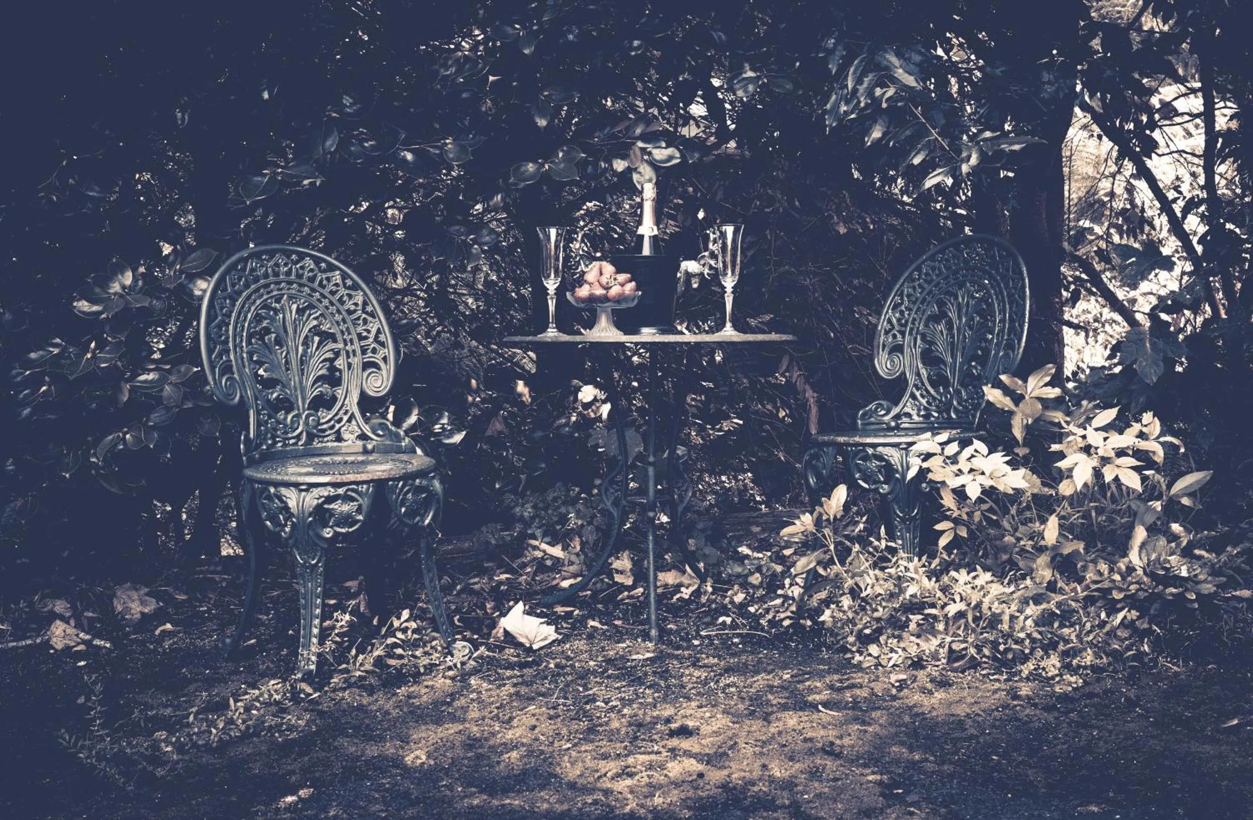 Garden in Belle Le Vie