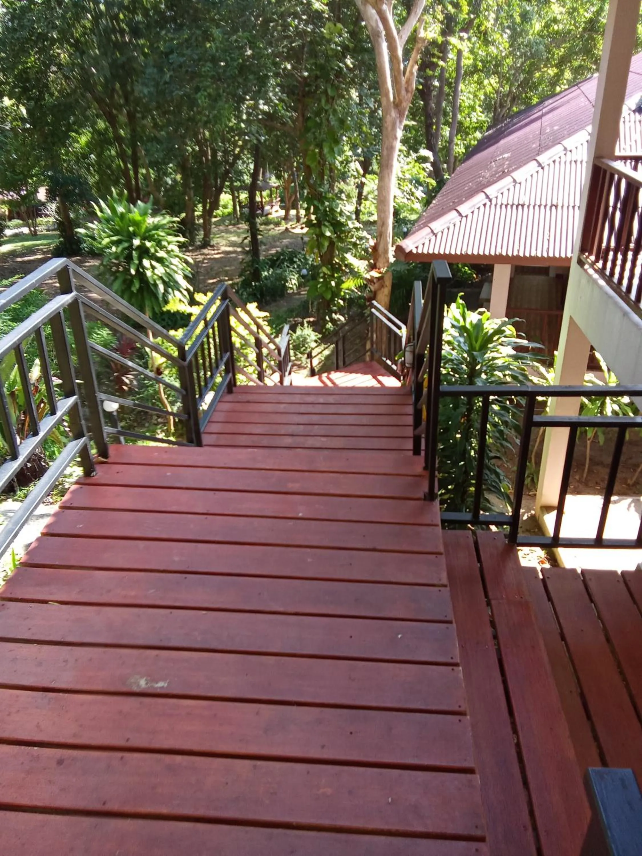 Property building in PawPaw Resort