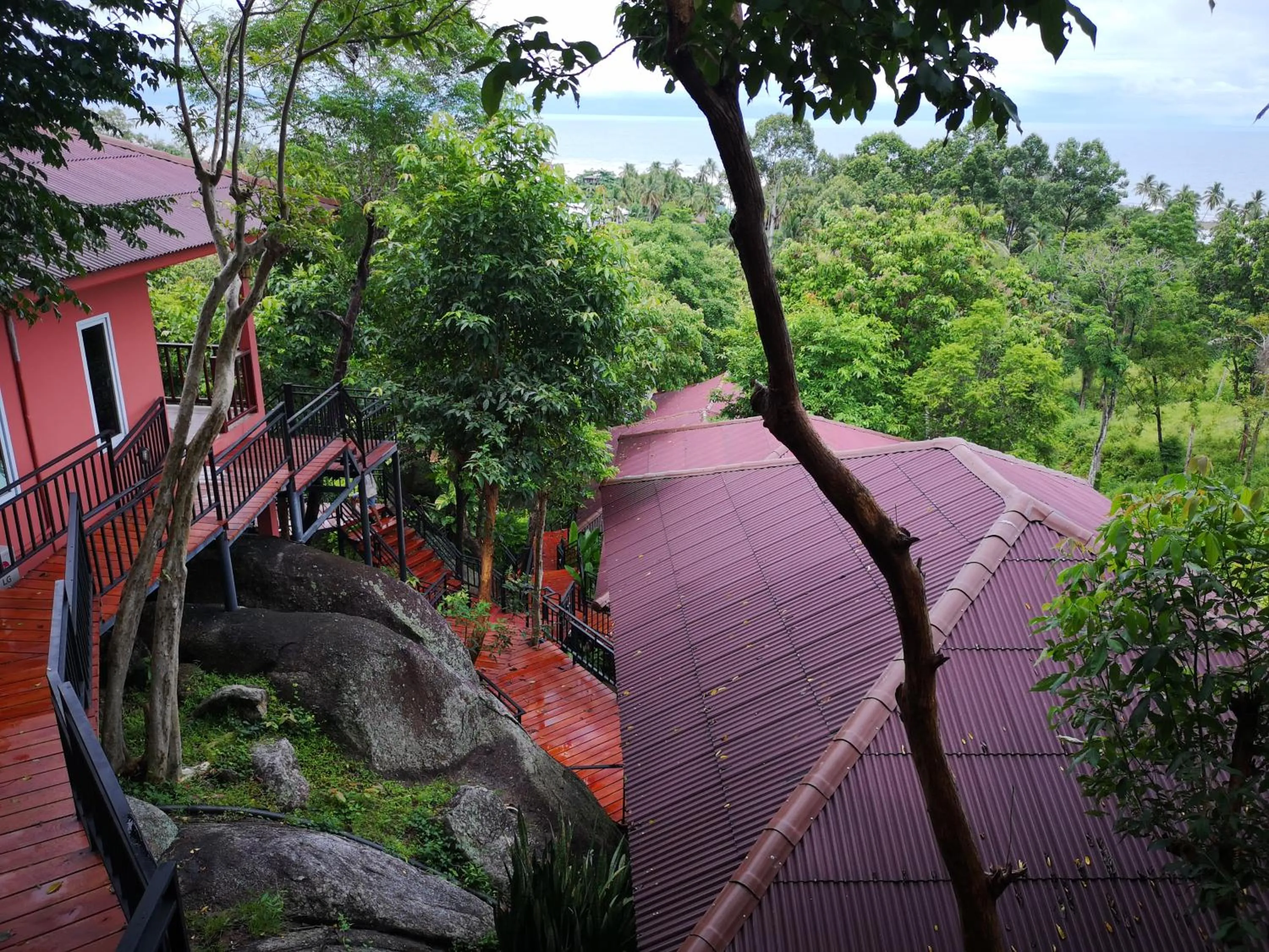 Natural landscape in PawPaw Resort