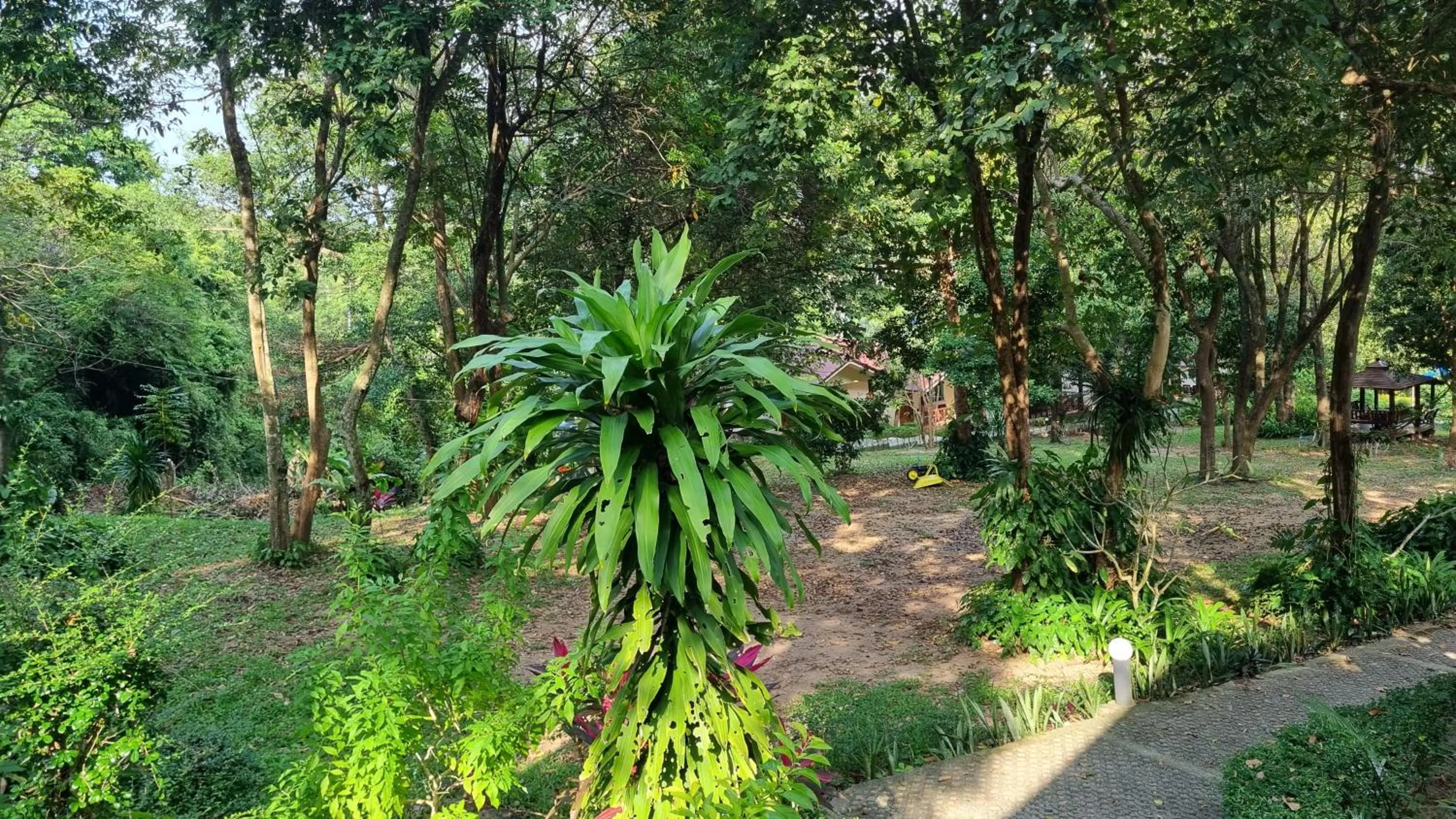 Natural landscape in PawPaw Resort