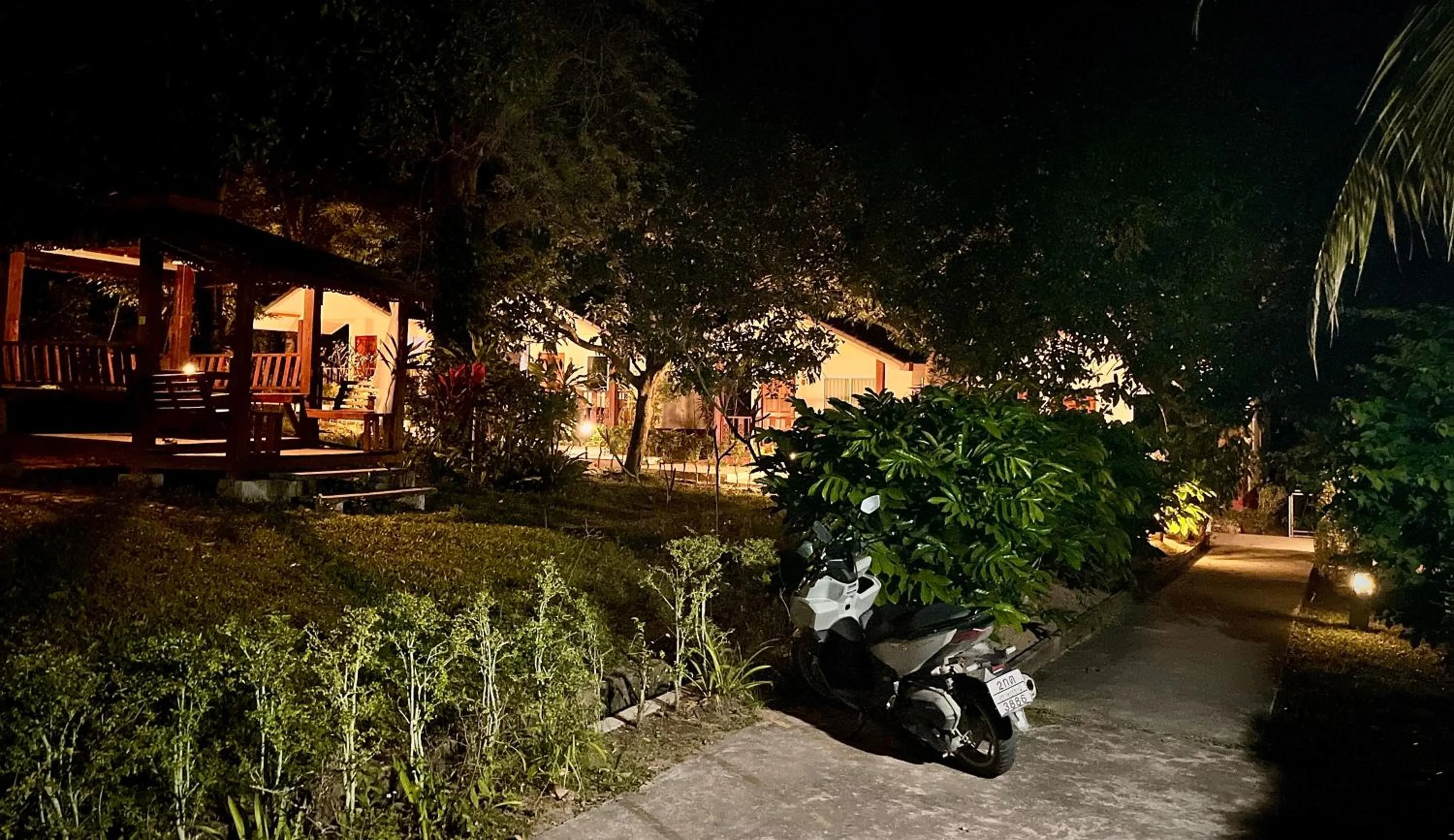 Night in PawPaw Resort