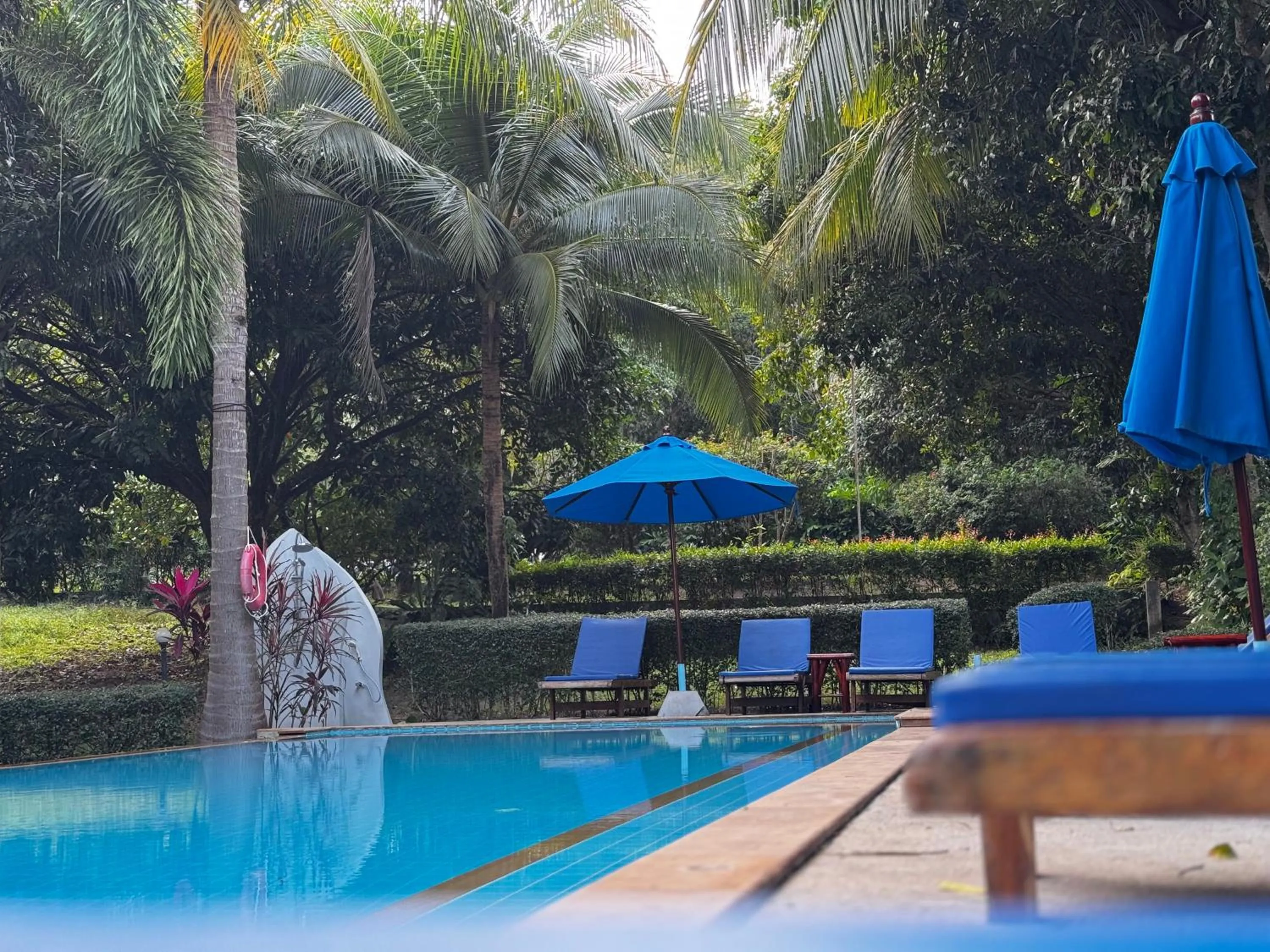 Swimming pool in PawPaw Resort