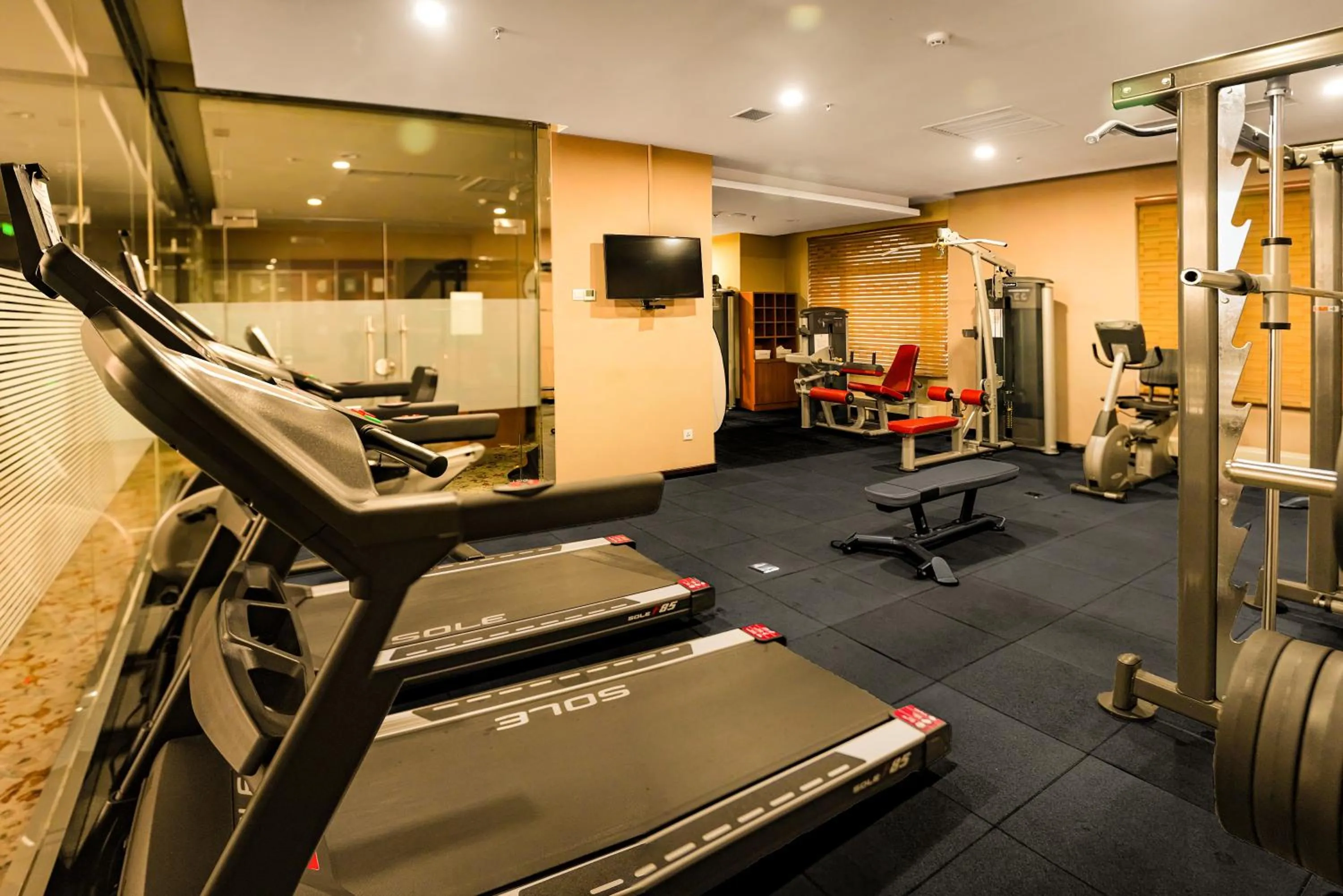 Fitness centre/facilities in Best Western Premier Tuushin Hotel