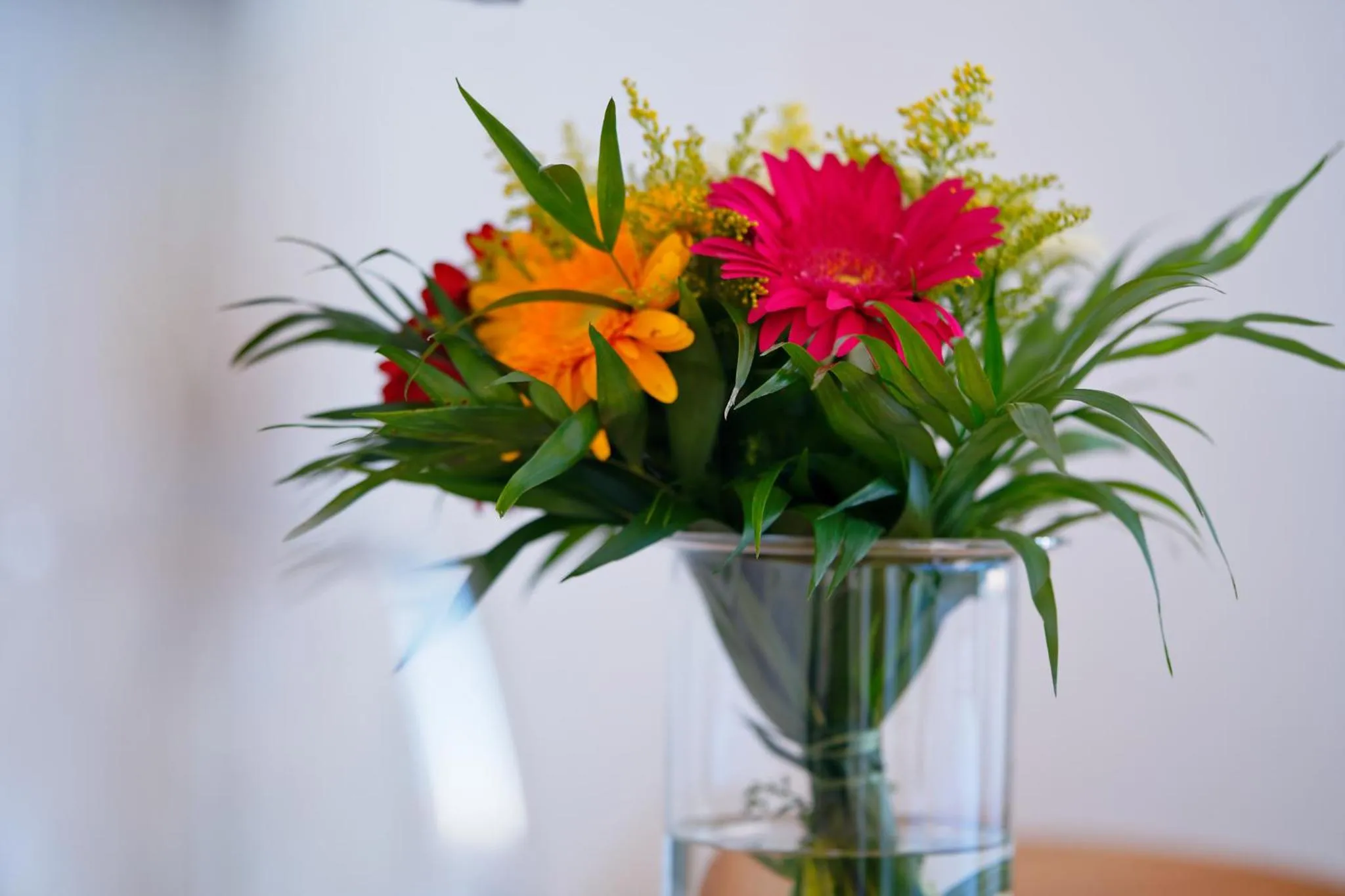 Drinks in Luma Terra Prague Hostel