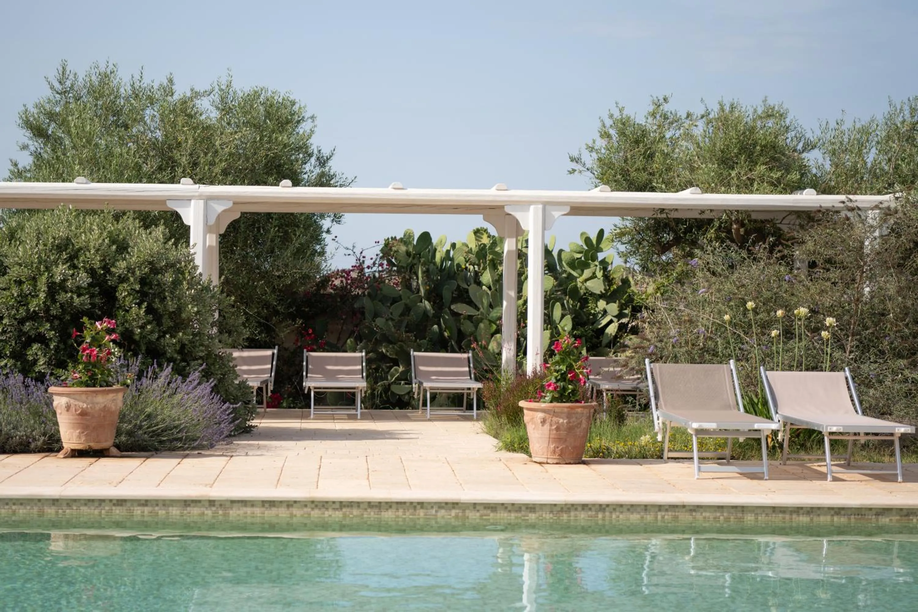 Pool view in Masseria Agrituristica Lama San Giorgio