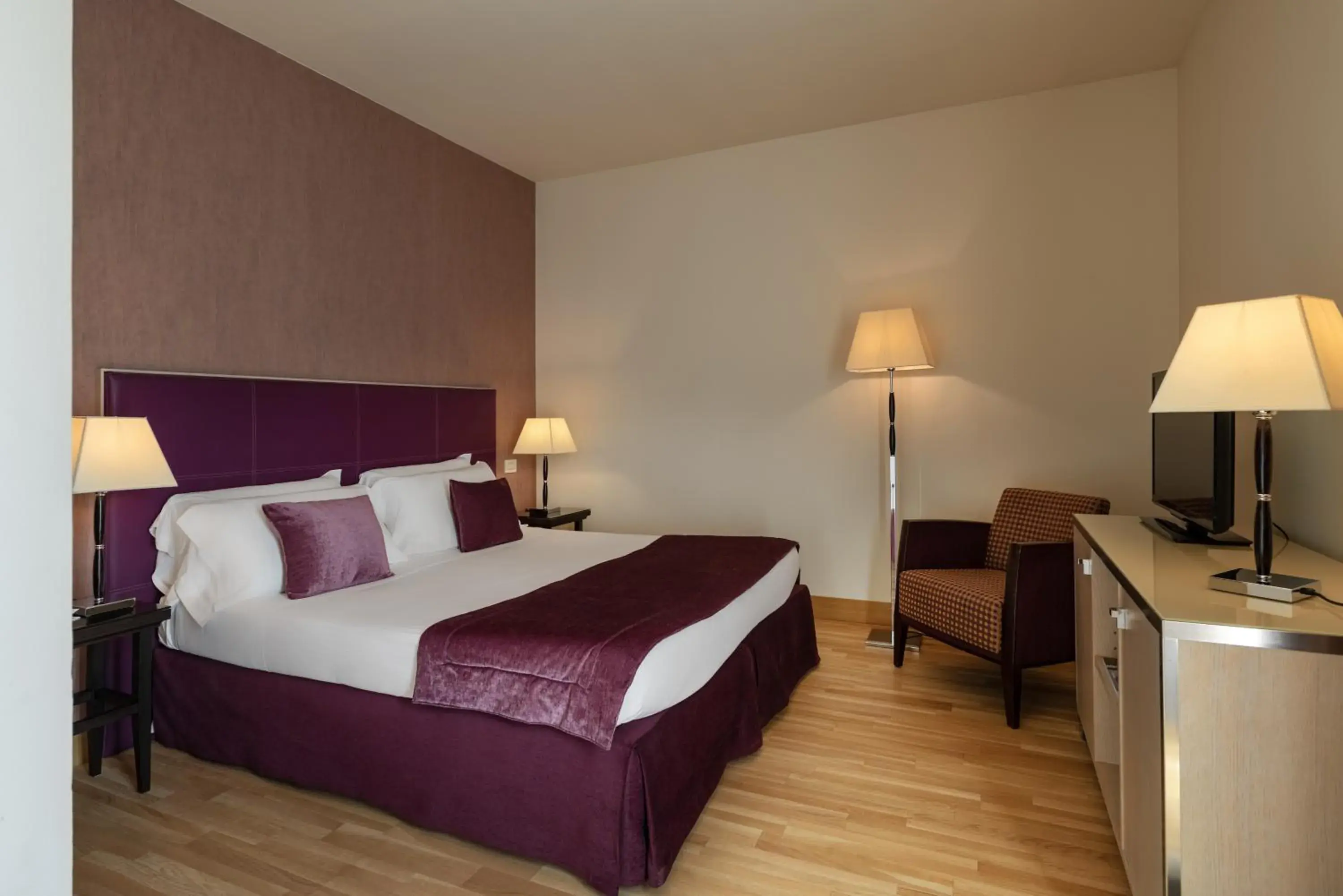 Junior Suite - single occupancy in Hotel Nazionale Junior Suite - single occupancy in Hotel Nazionale