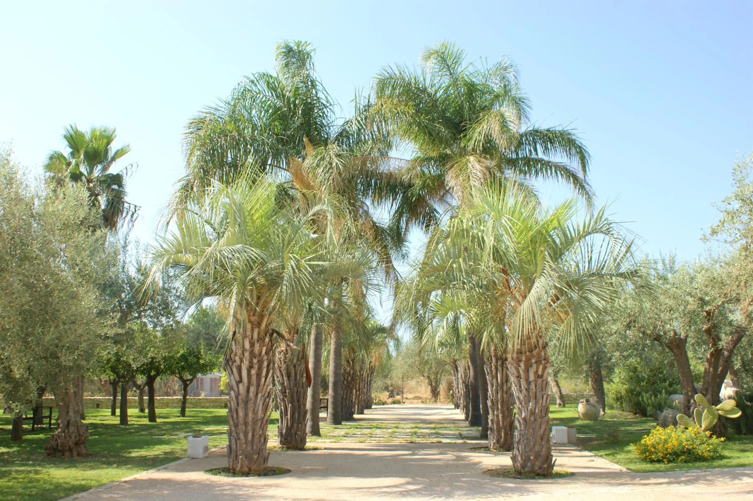 Spring in Cambiocavallo Resort