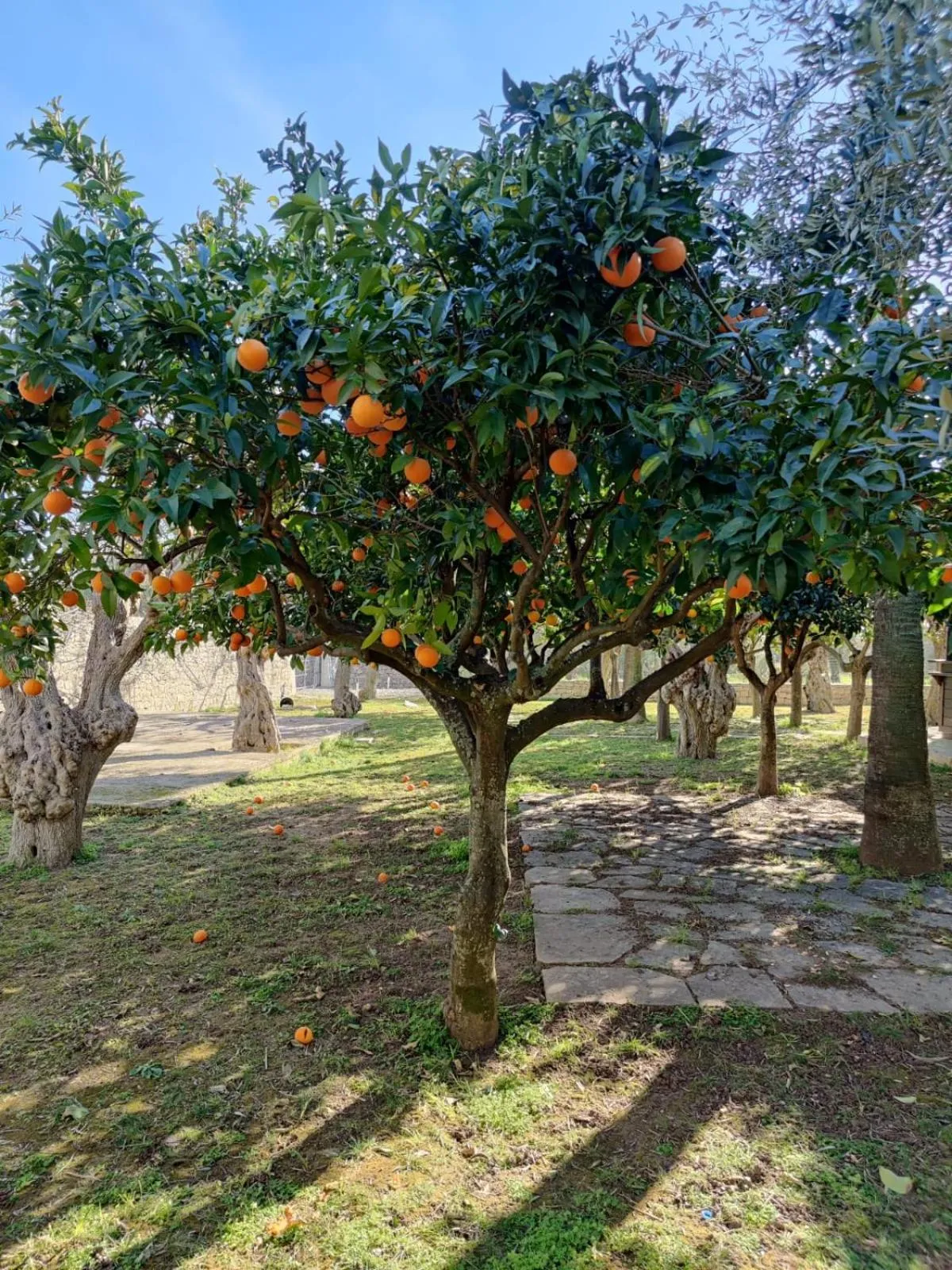 Spring in Cambiocavallo Resort