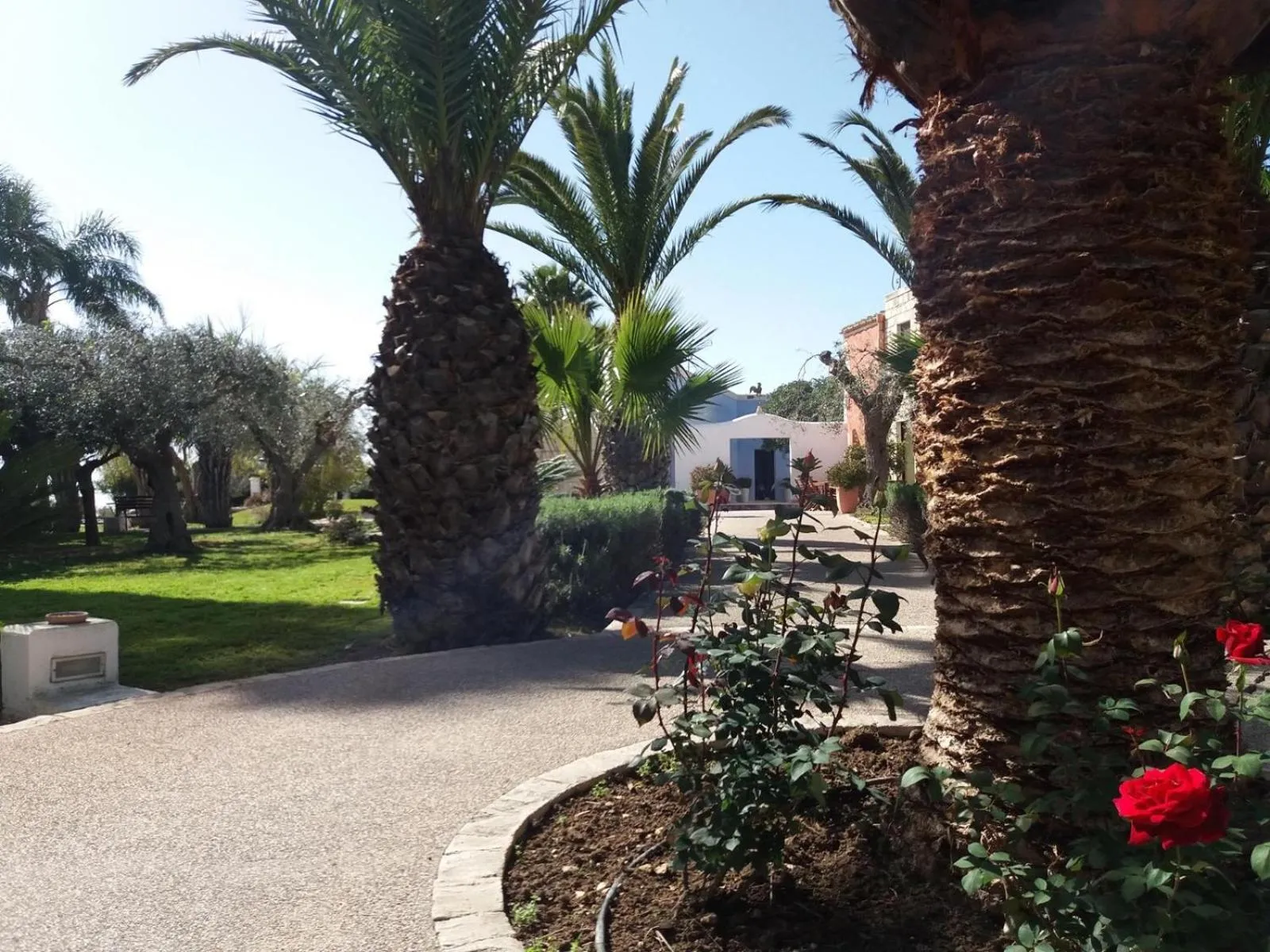 Spring in Cambiocavallo Resort