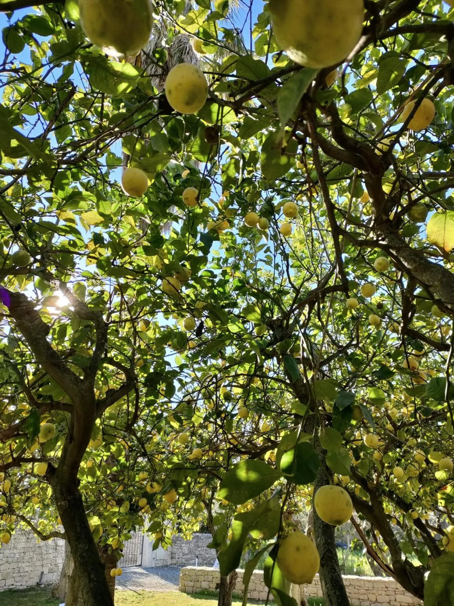 Spring in Cambiocavallo Resort