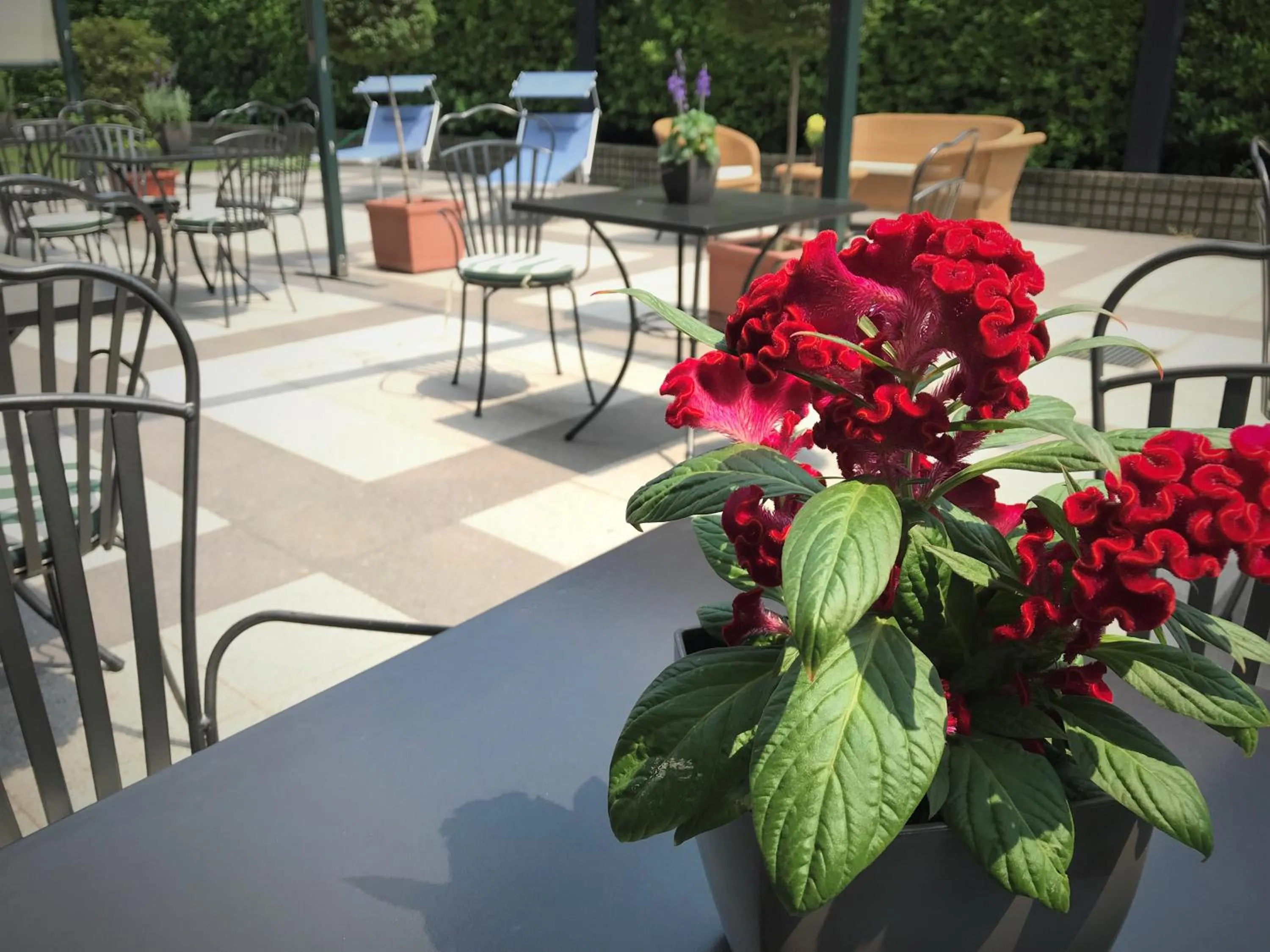 Balcony/Terrace in The Regency Sure Hotel Collection by Best Western