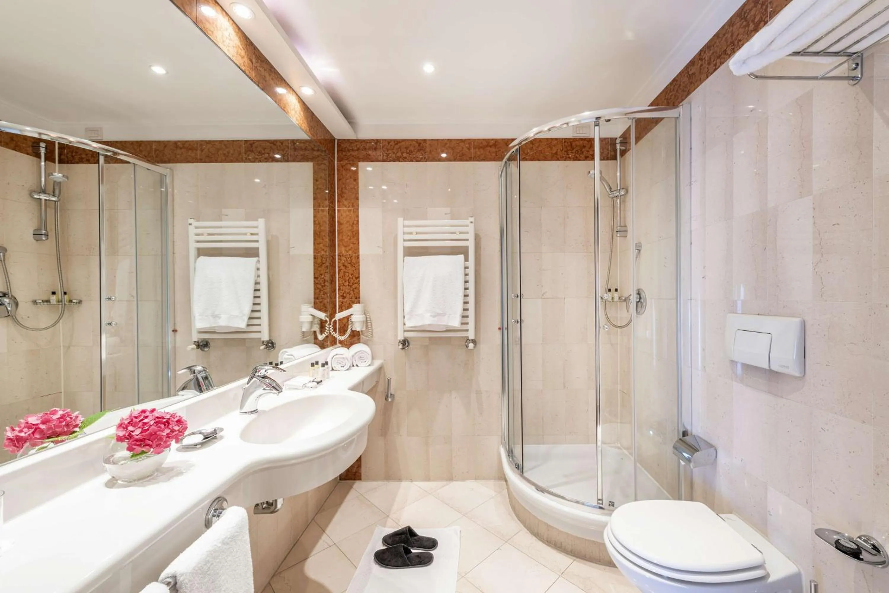 Shower in The Regency Sure Hotel Collection by Best Western