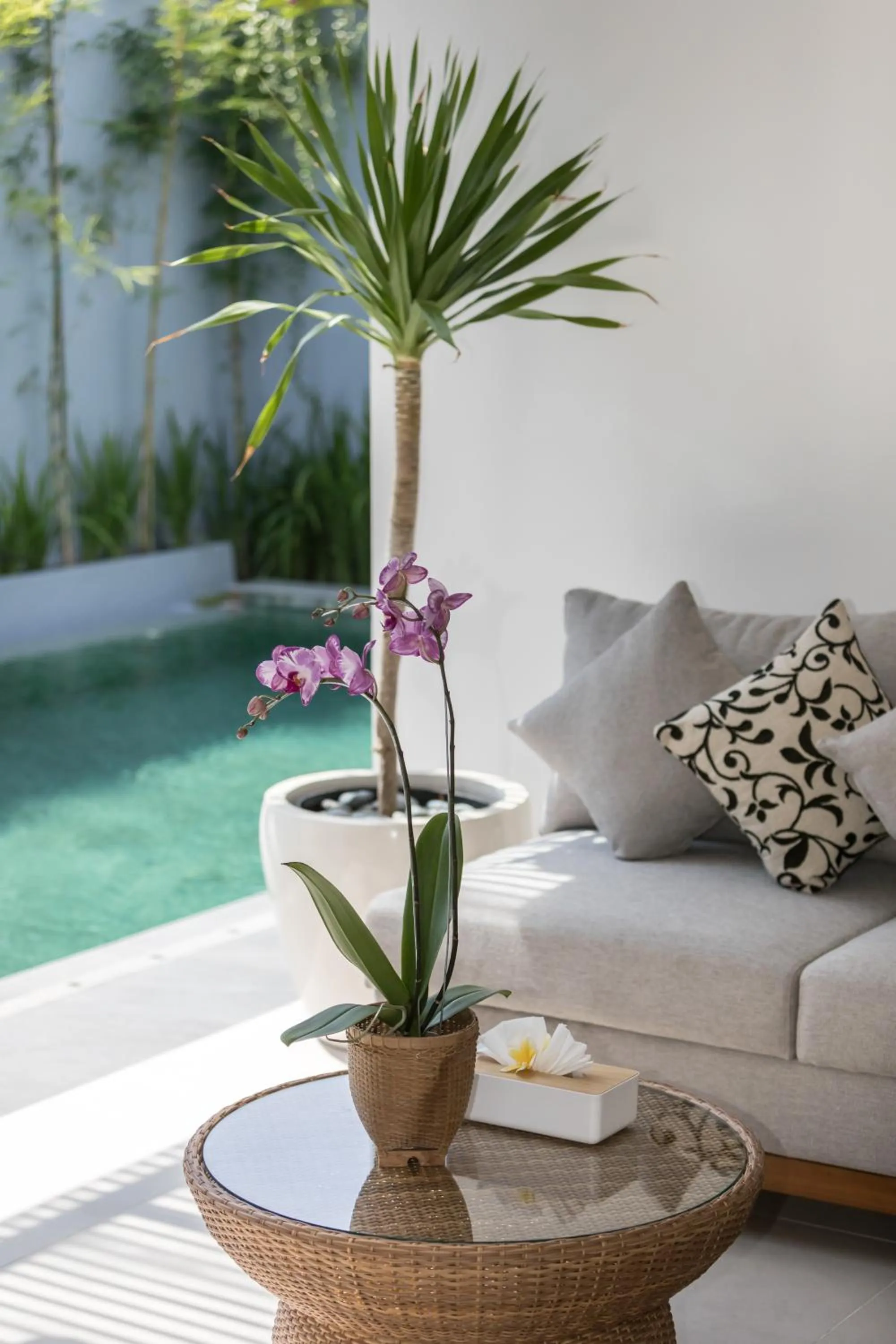 Living room in Fenosa Seminyak Villas