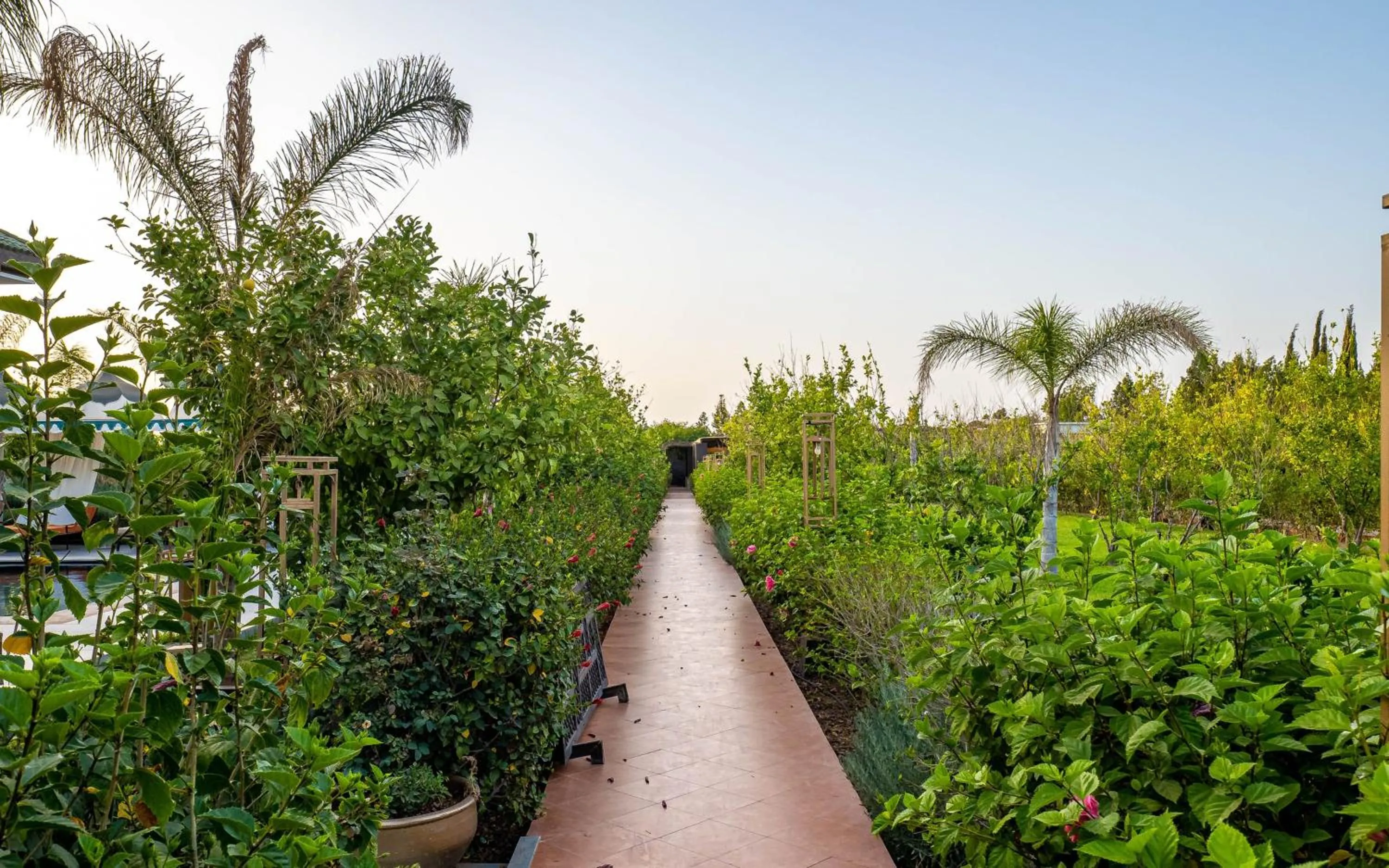 Spring in The Lemonary Marrakech