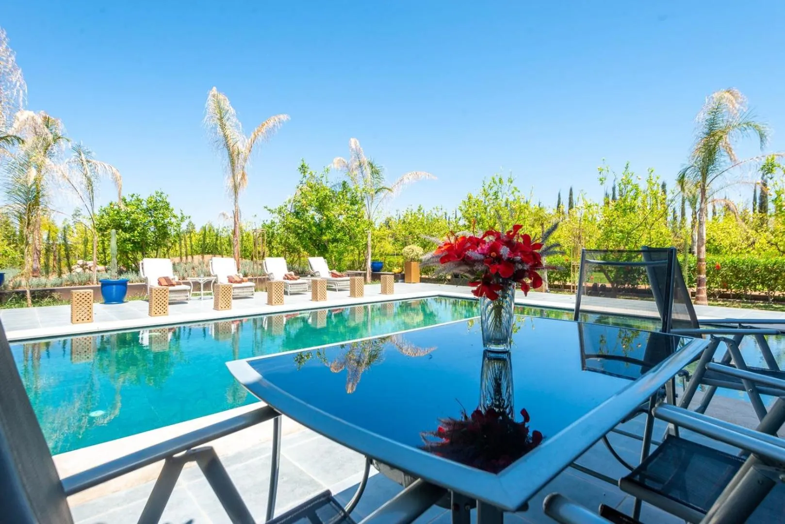 Garden view in The Lemonary Marrakech