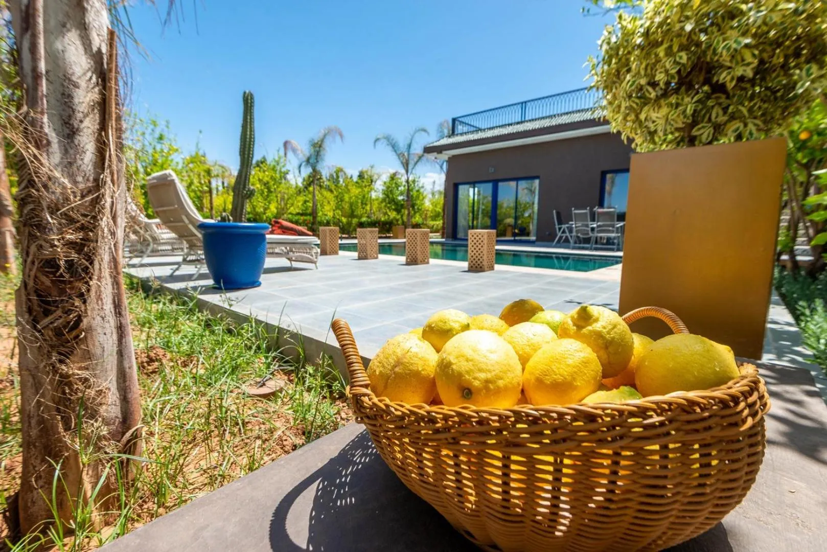 Garden view in The Lemonary Marrakech
