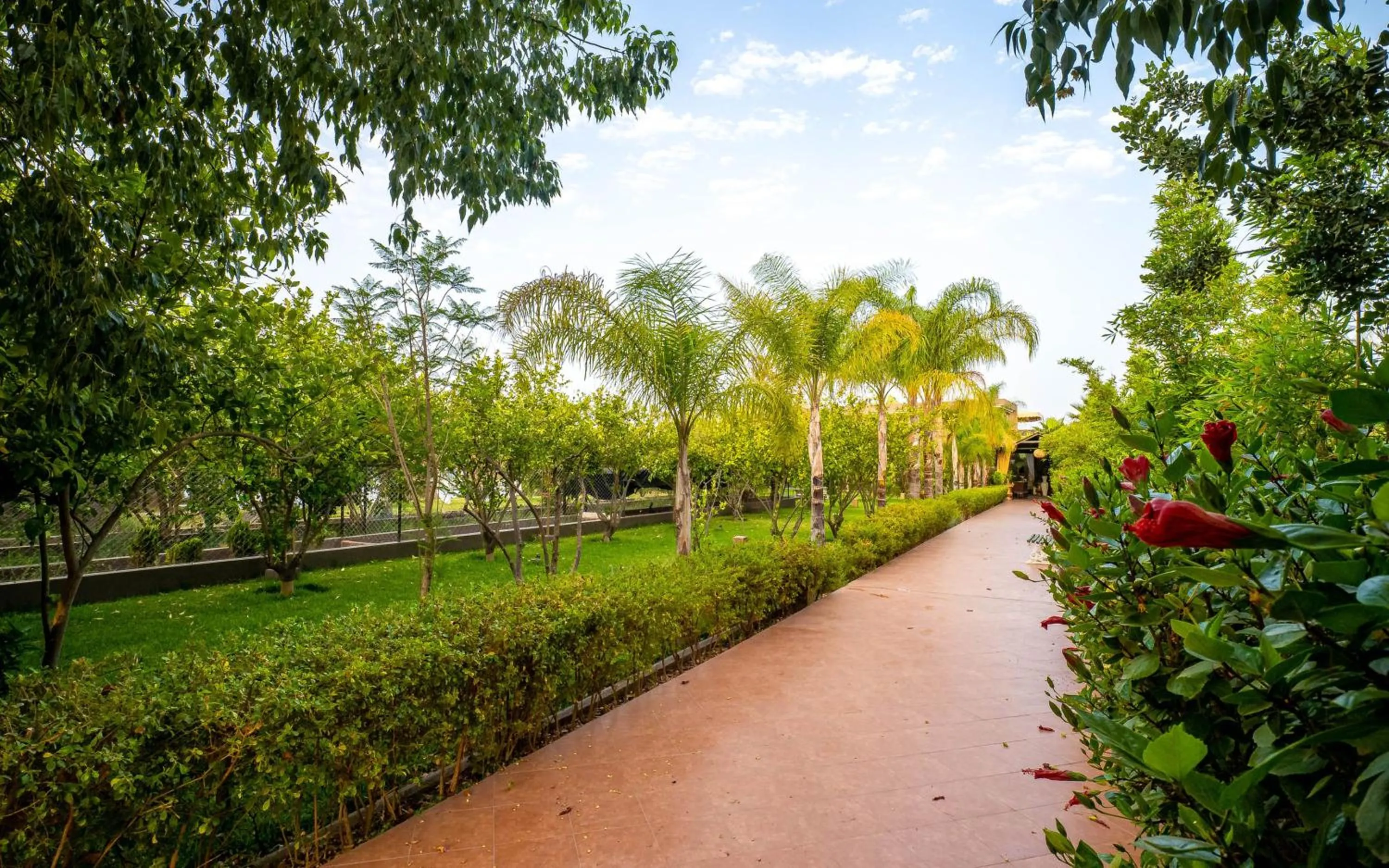 Spring in The Lemonary Marrakech