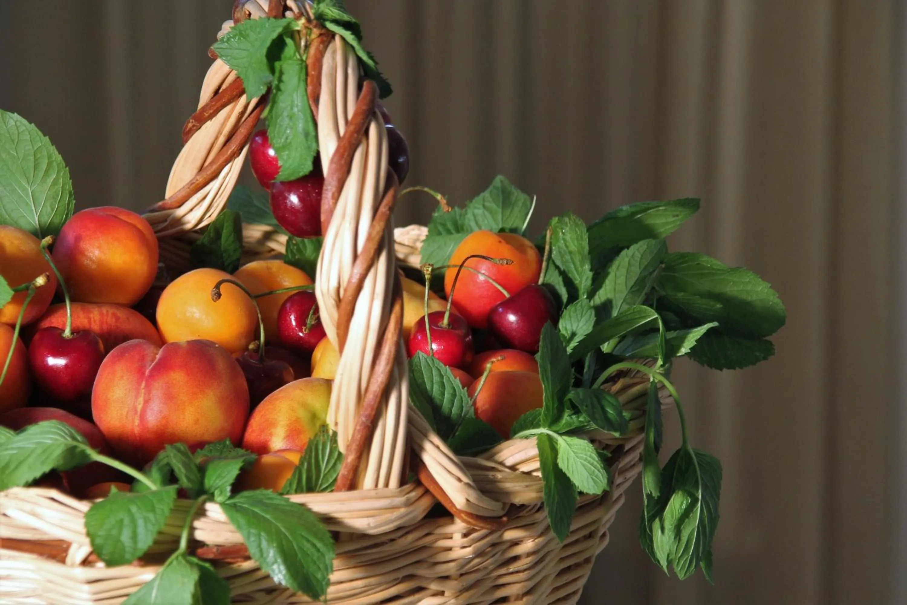 Food and drinks in La Pajassa