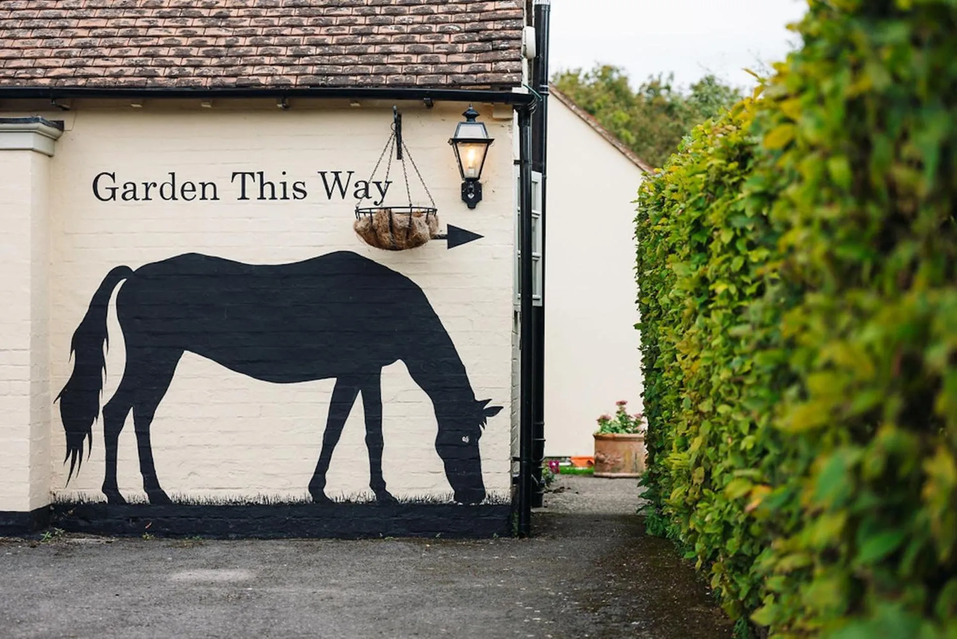 Garden in The Coach and Horses