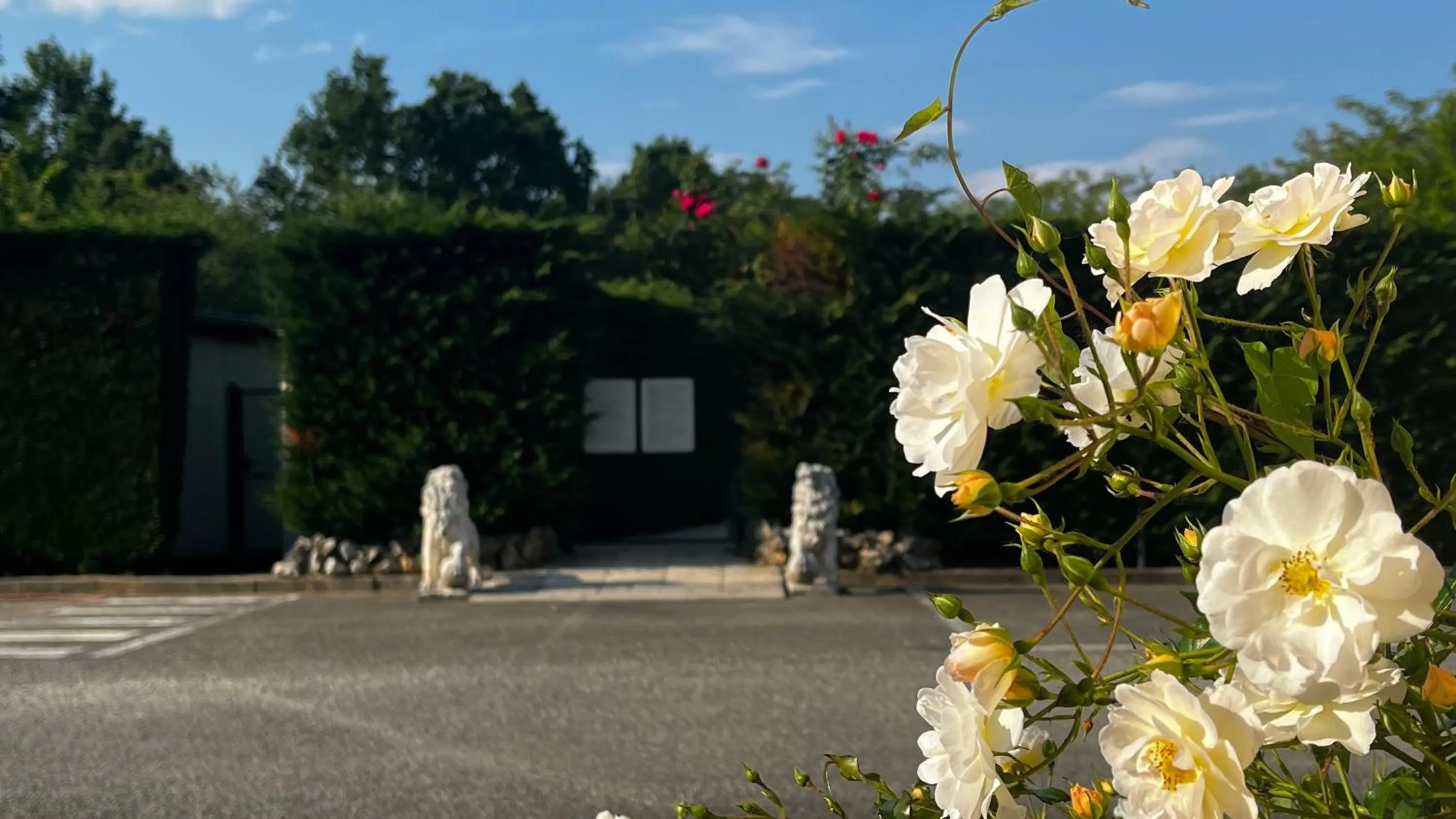 Garden in Vald Hotel