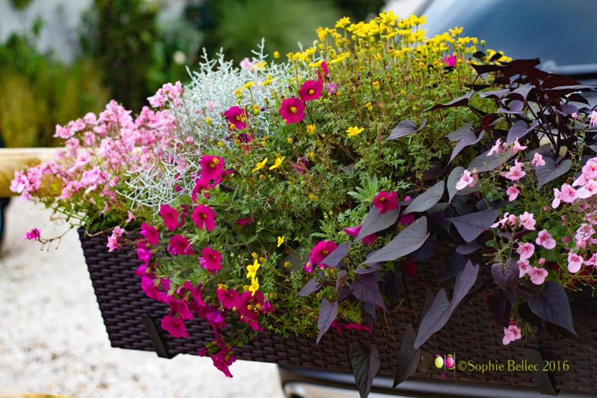 Other in L'Hostellerie d'Acquigny