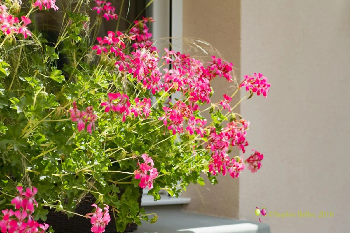 Text overlay in L'Hostellerie d'Acquigny