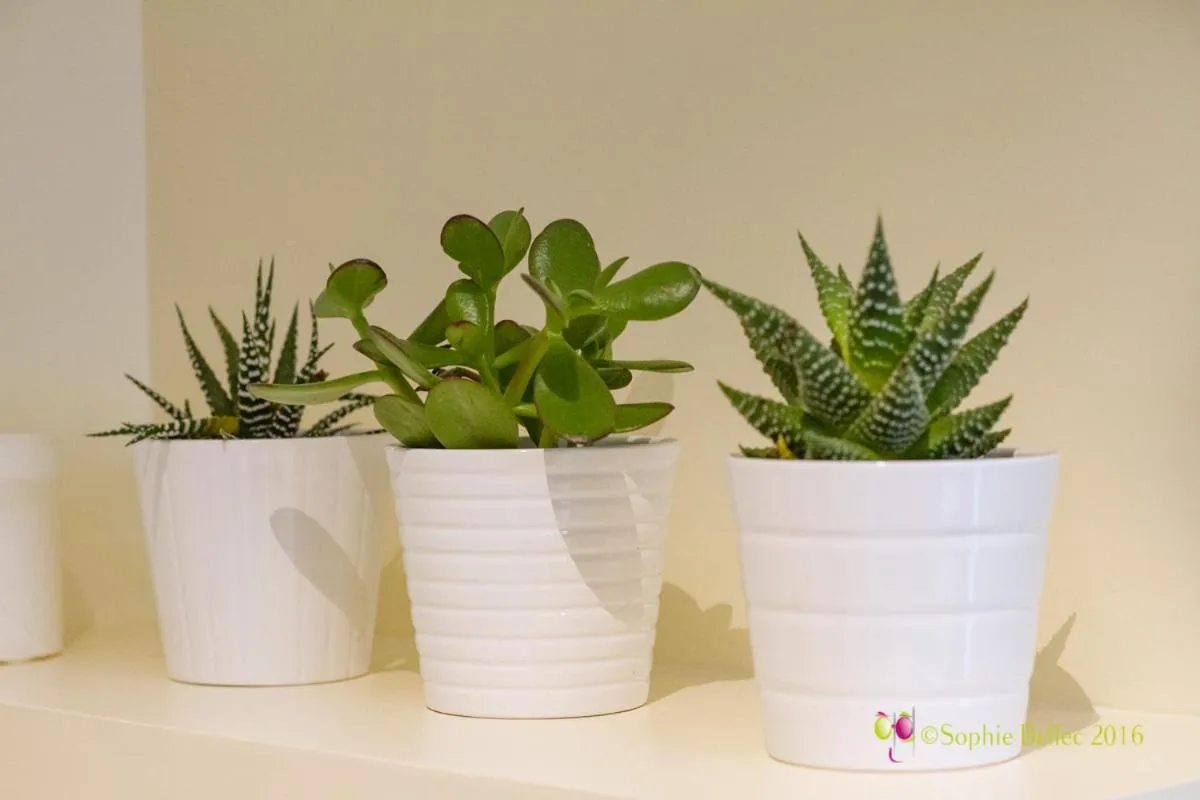 Other in L'Hostellerie d'Acquigny