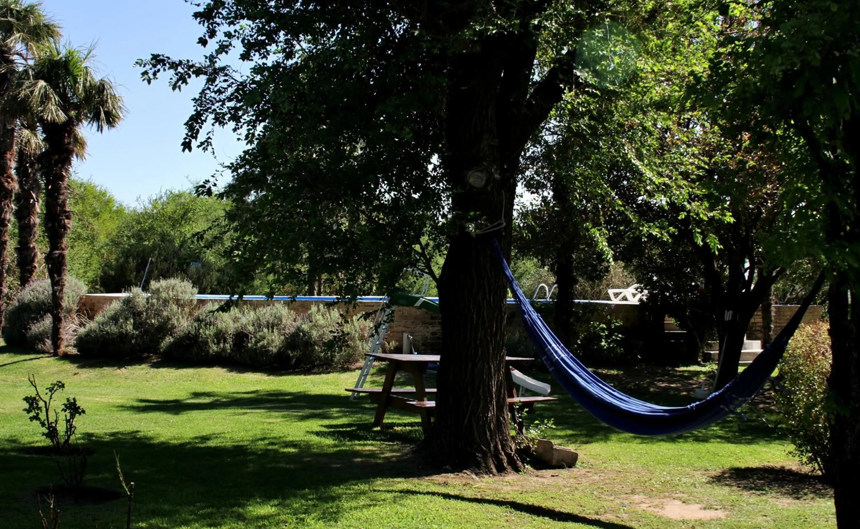 Garden in Hotel de Campo Posada la Esperanza