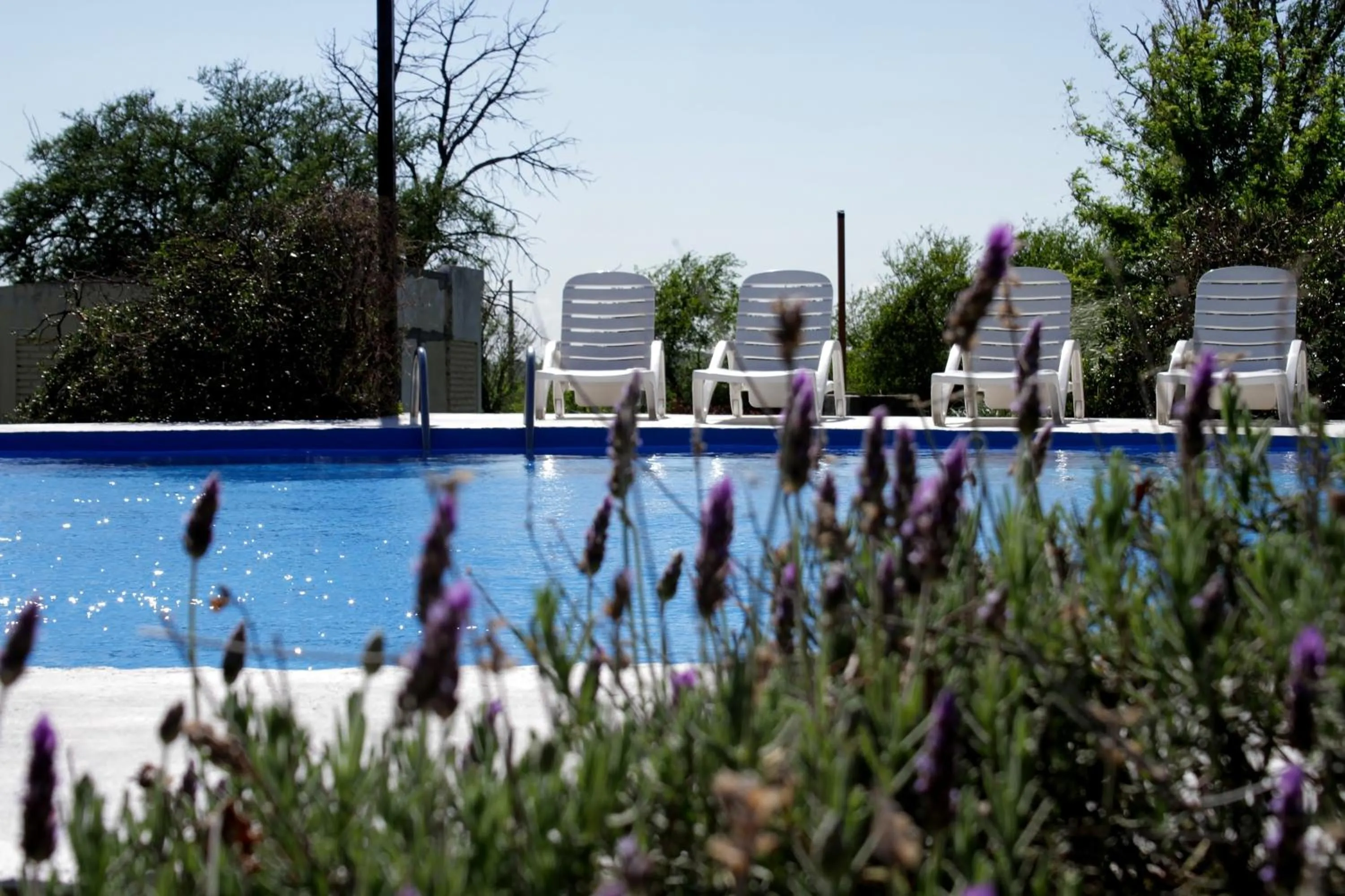 Animals in Hotel de Campo Posada la Esperanza