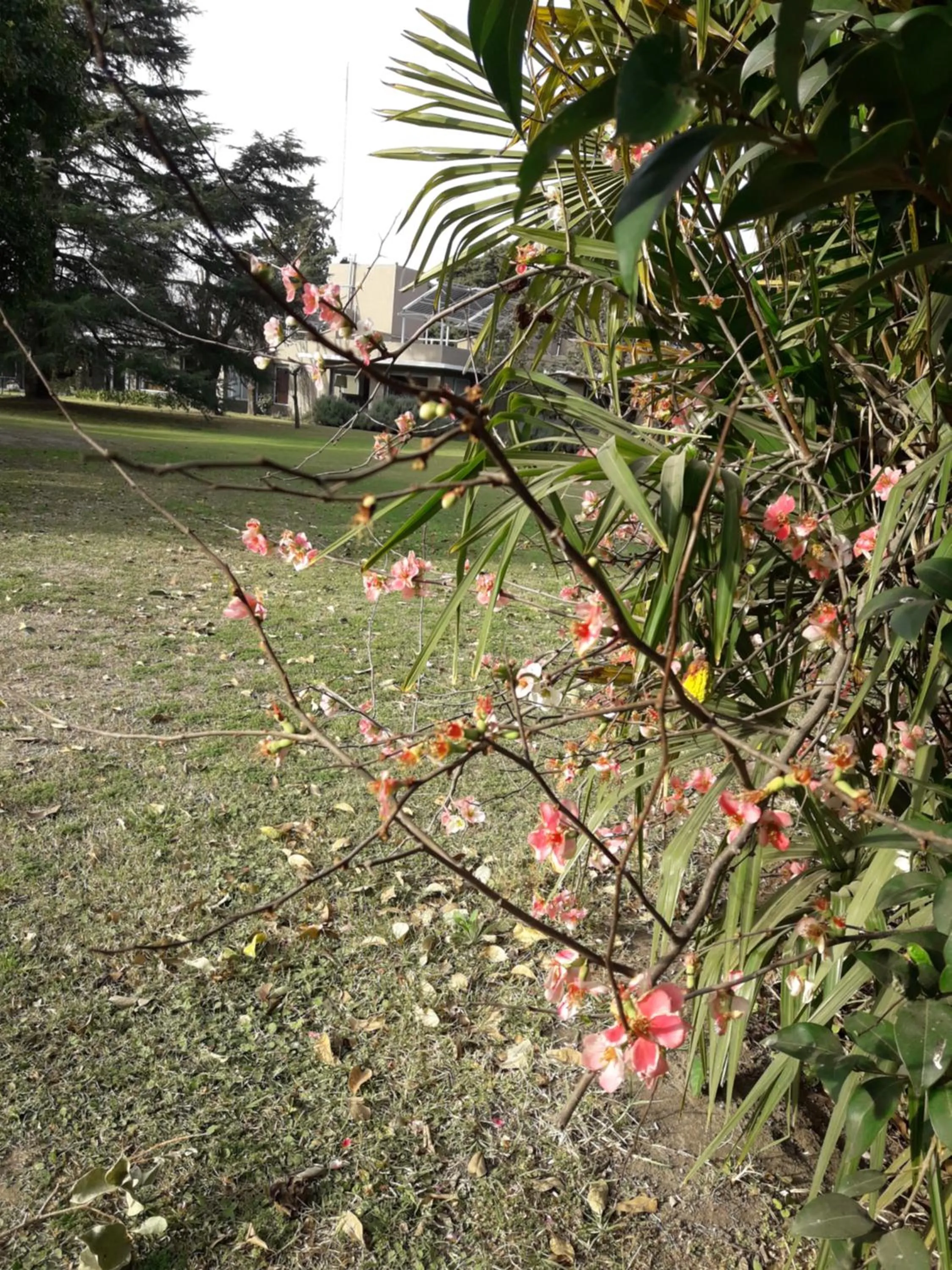 Garden in Hotel de Campo Posada la Esperanza