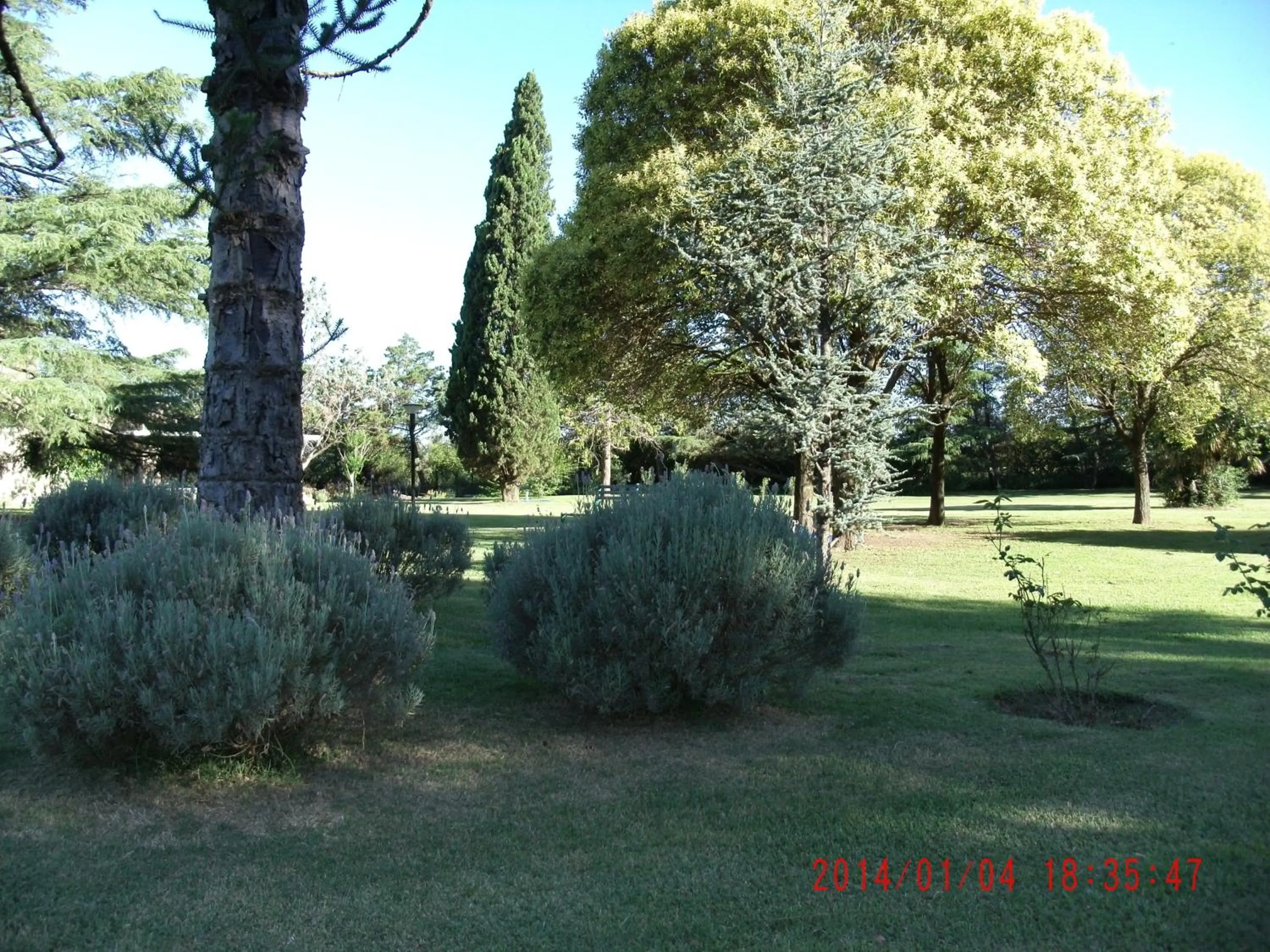 Garden in Hotel de Campo Posada la Esperanza