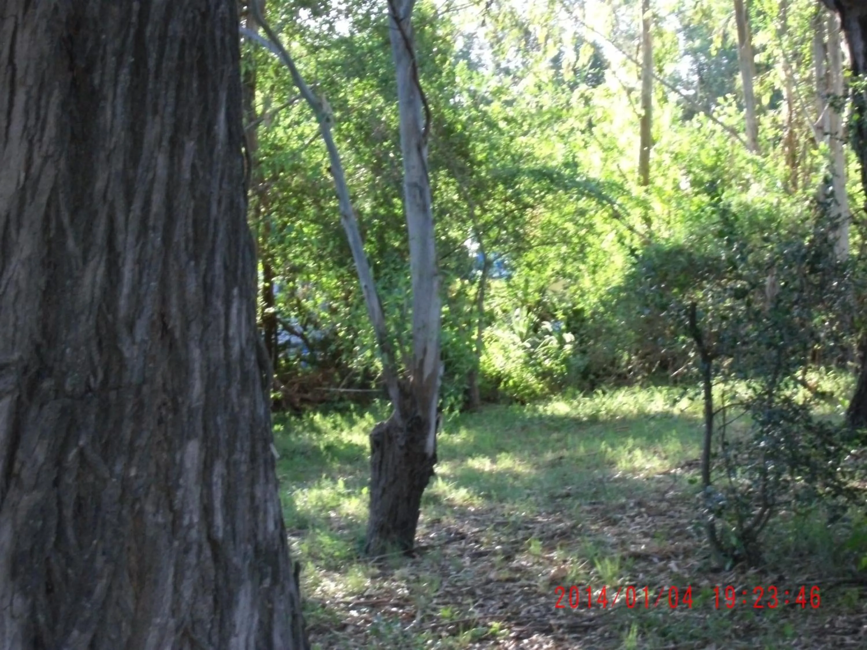 Garden in Hotel de Campo Posada la Esperanza