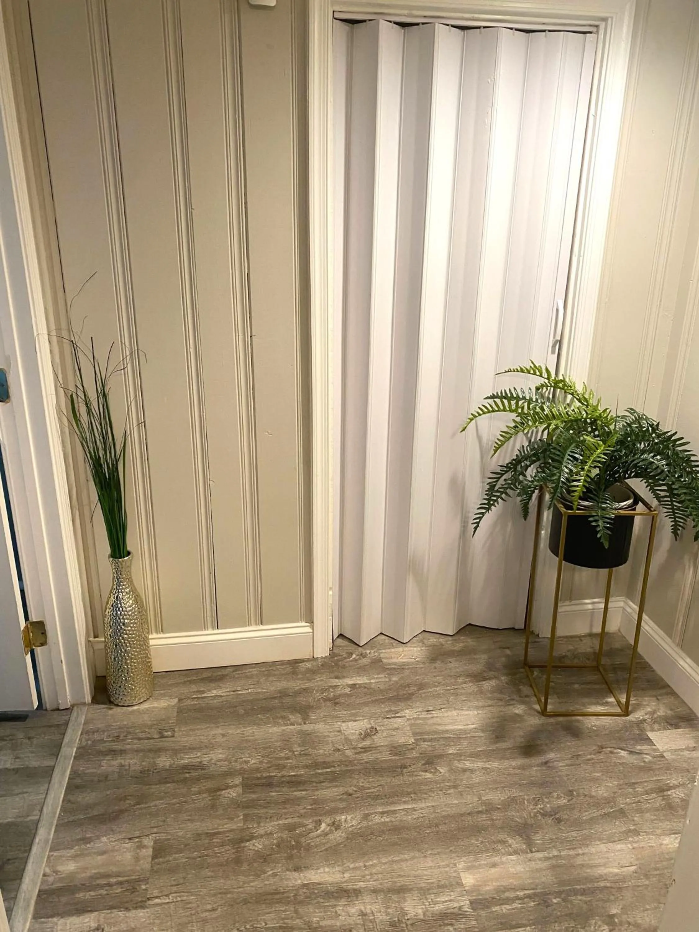 Living room in Cozy and Modern 1BR Apartment with WiFi and Dogs Welcome