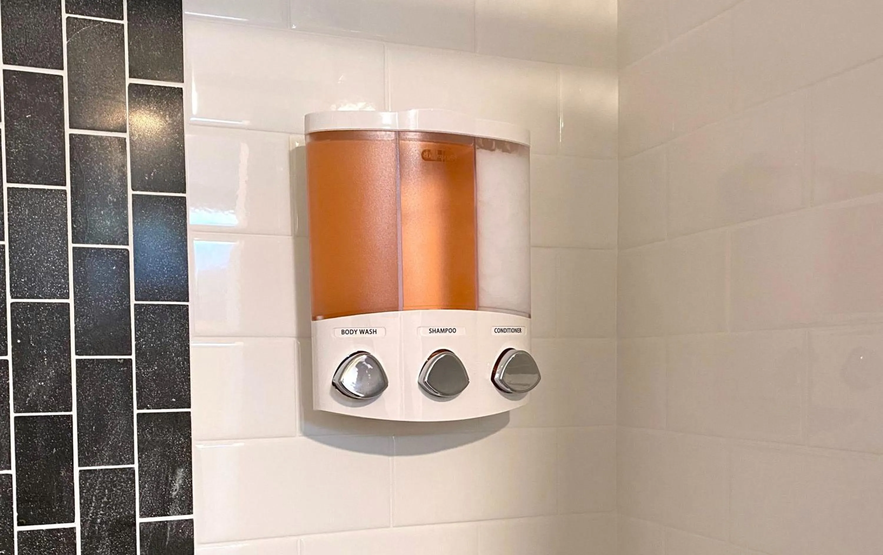 Cozy and Modern 1BR Apartment with WiFi and Dogs Welcome