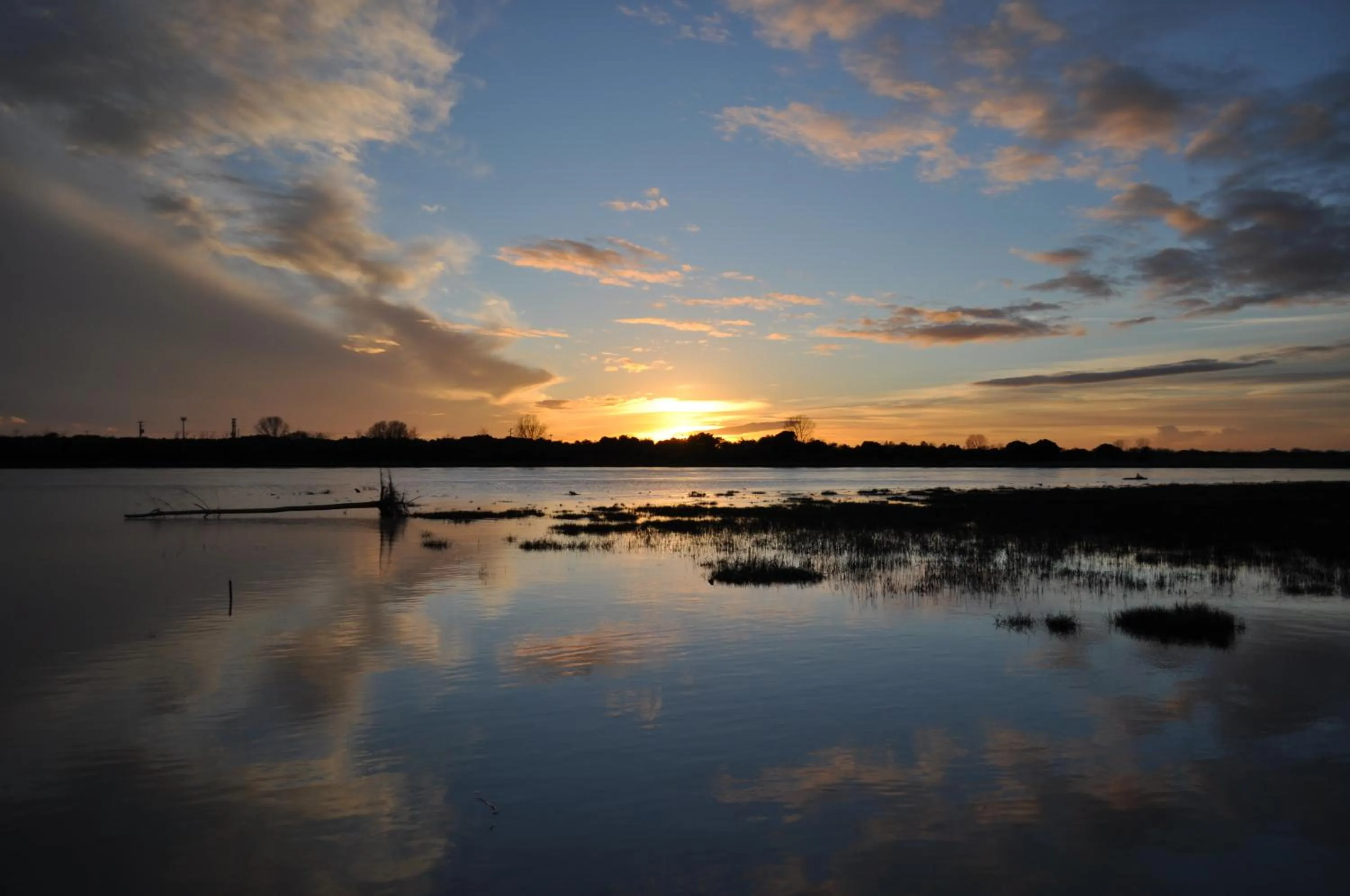 Natural landscape in Hotel Vienna