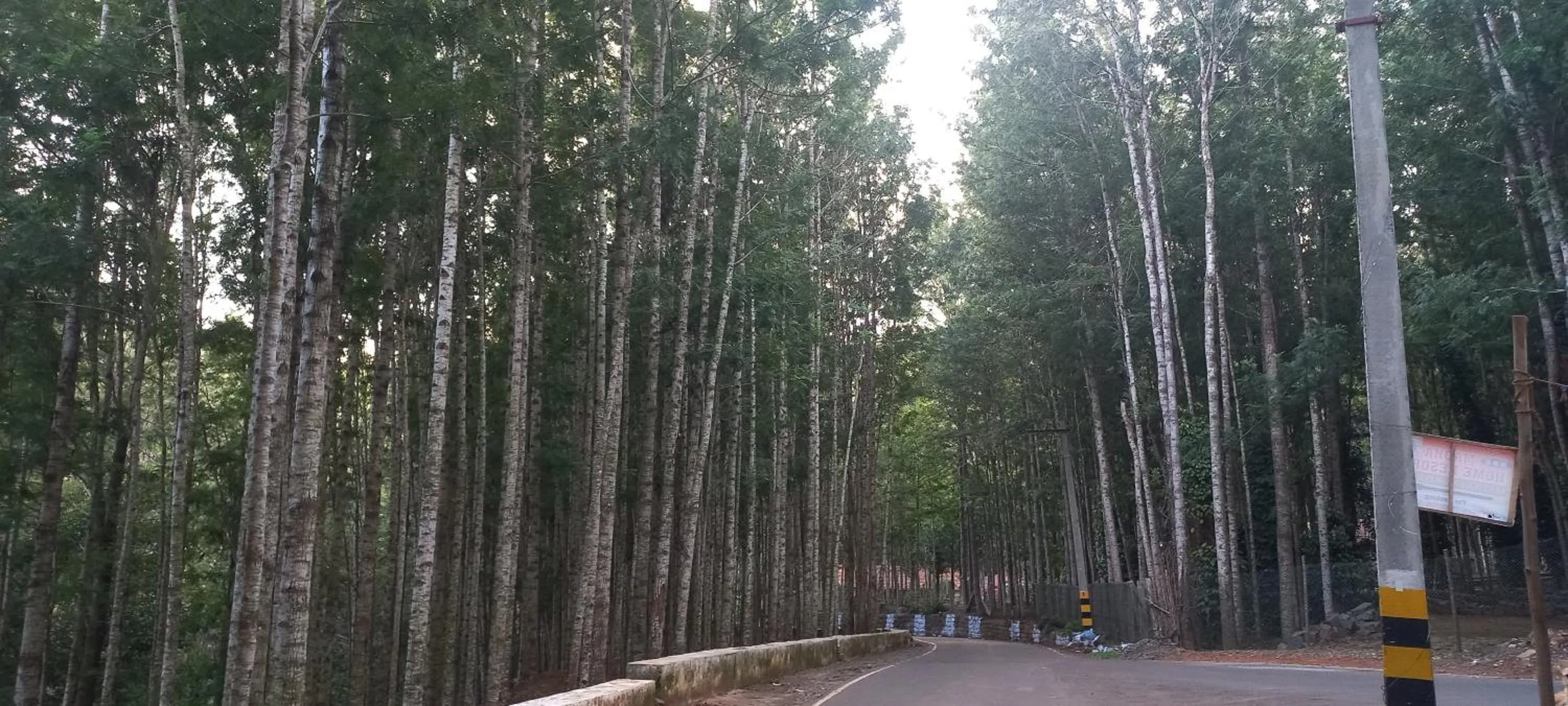 Property building in iSTAYS - Loop Road, Yercaud