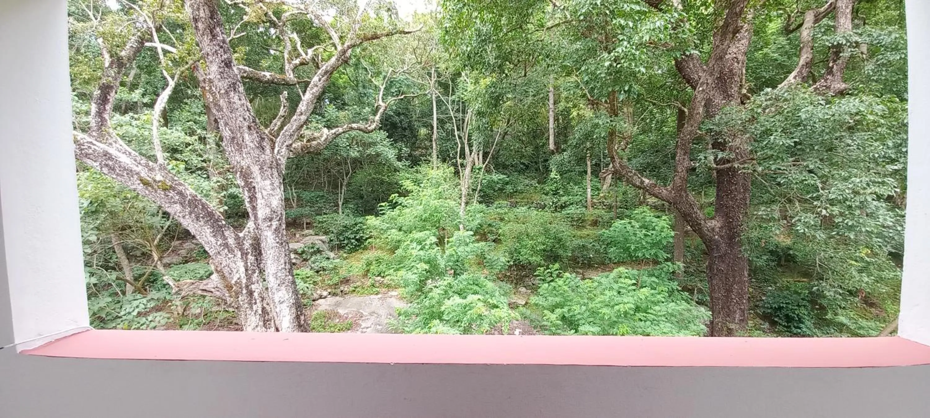 Balcony/Terrace in iSTAYS - Loop Road, Yercaud