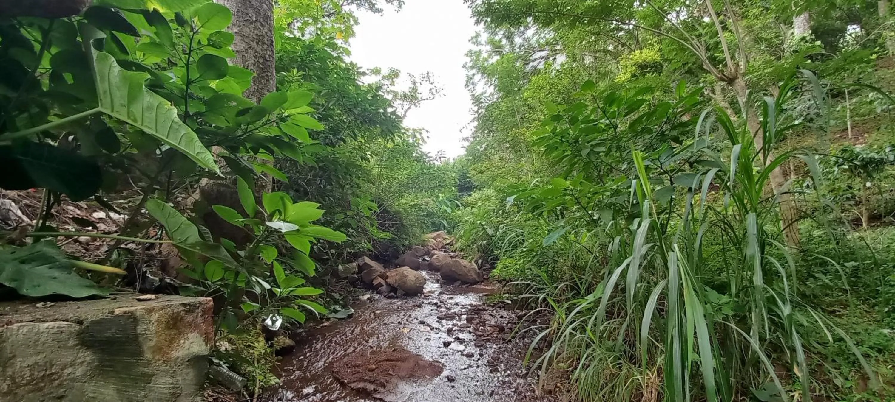 Natural landscape in iSTAYS - Loop Road, Yercaud